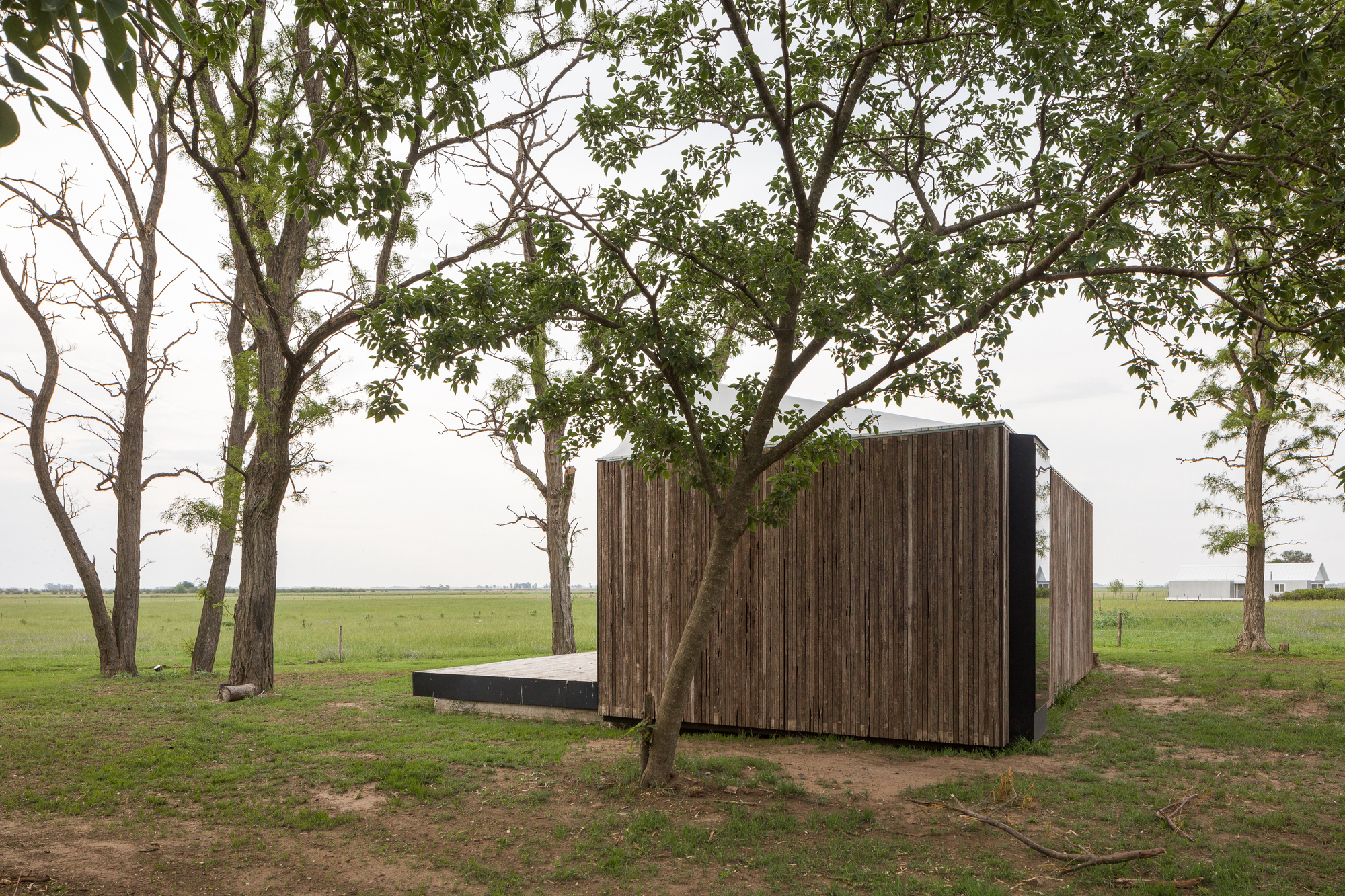 Vertical timber cladding wrapping the closed volume facing open grassland with scattered trees