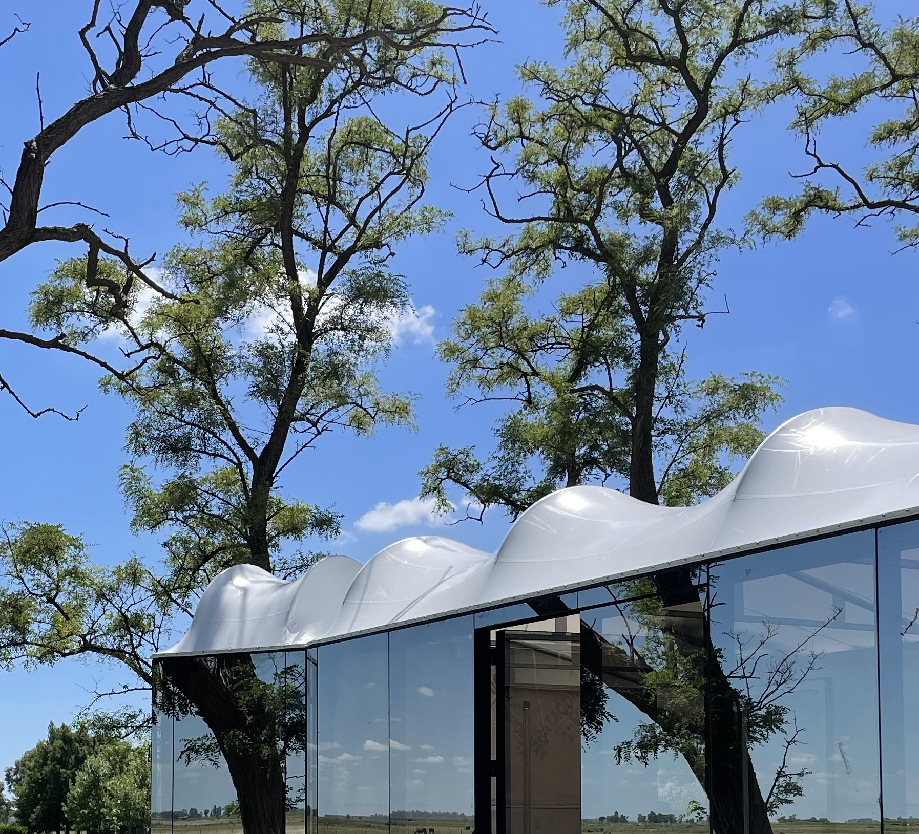White undulating roof atop a glass pavilion framed by old trees under a blue sky