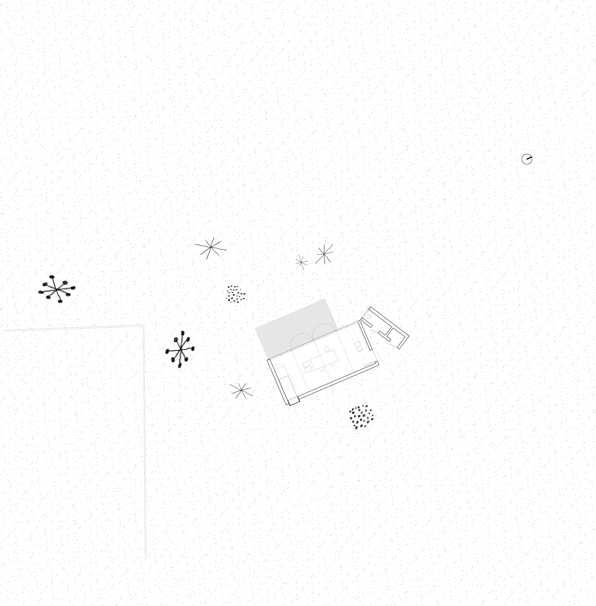 Site plan drawing showing rectangular volume among scattered trees in open landscape