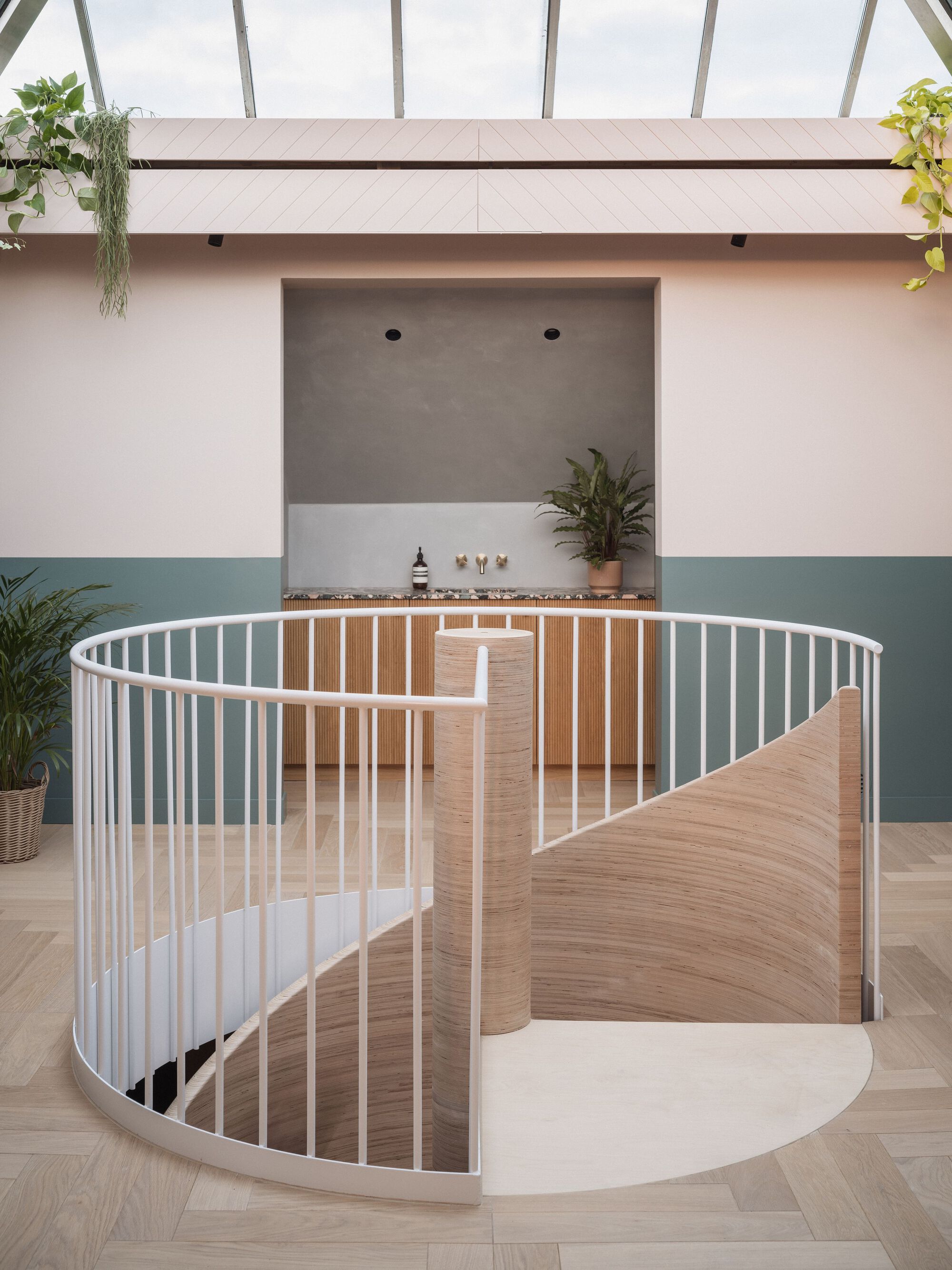 Spiral staircase with white vertical balusters and timber treads beneath a glazed roof with hanging plants