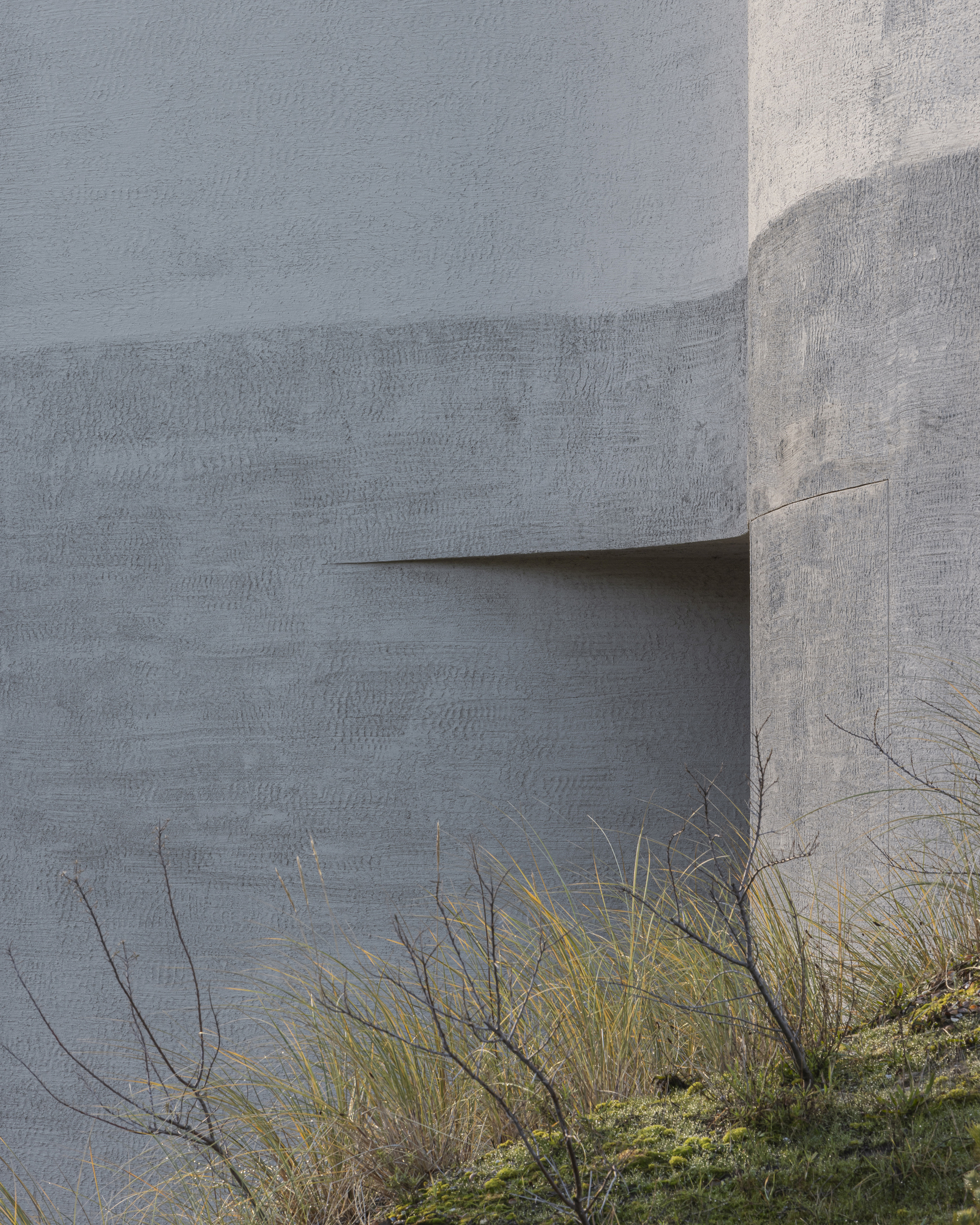 Close-up of the concrete facade showing formwork texture with native grasses at the base