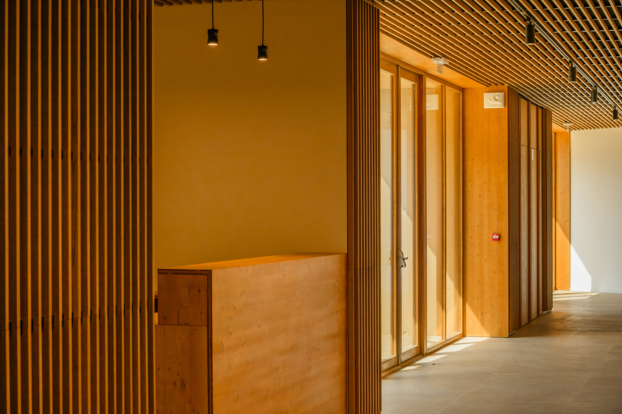 Corridor detail showing vertical timber slat partition and pendant lighting at dusk