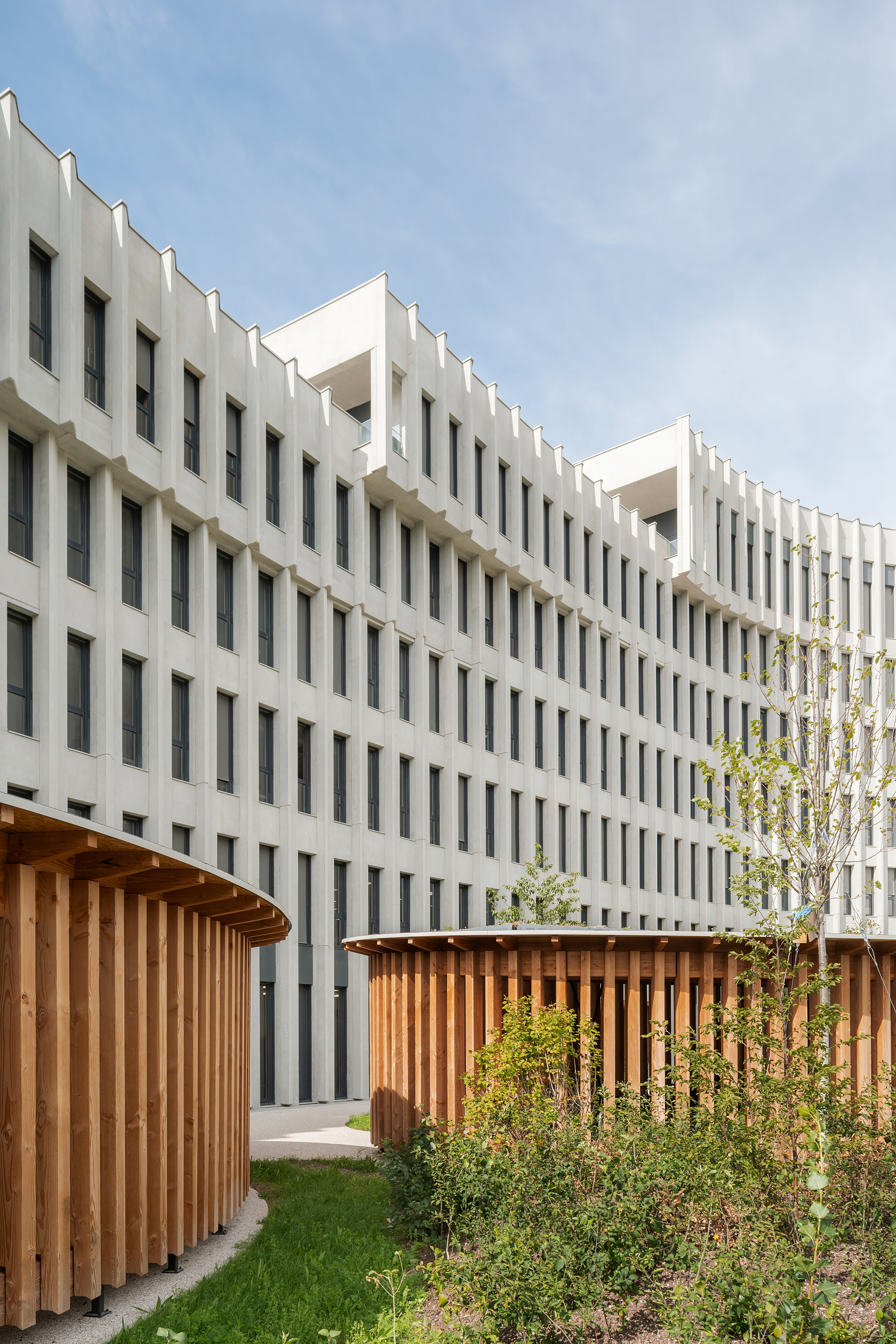 Courtyard with vertical slatted white facade above timber screens and planted beds