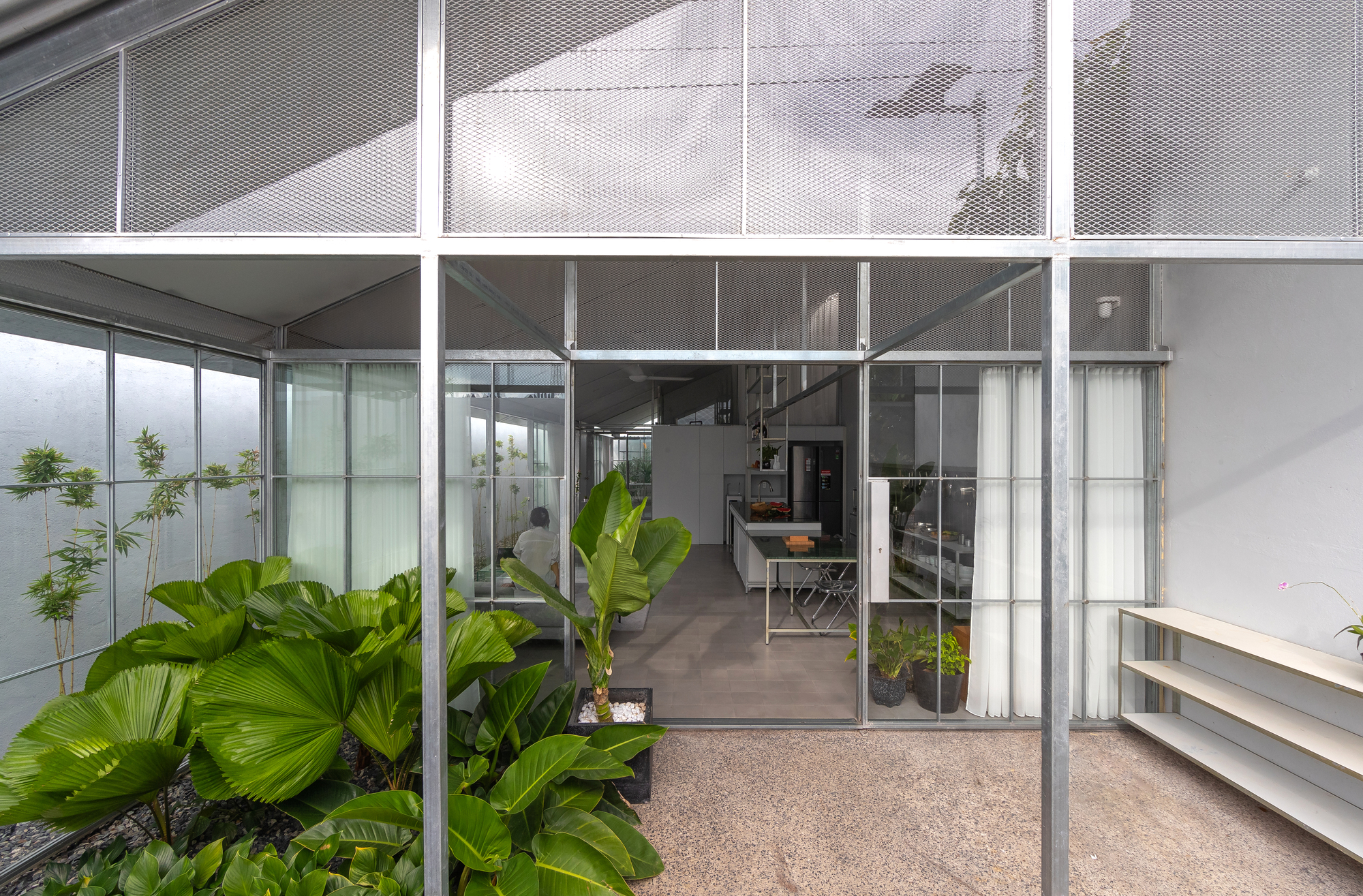 Interior courtyard with planted beds of large-leafed tropicals viewed through full-height steel-framed glazing