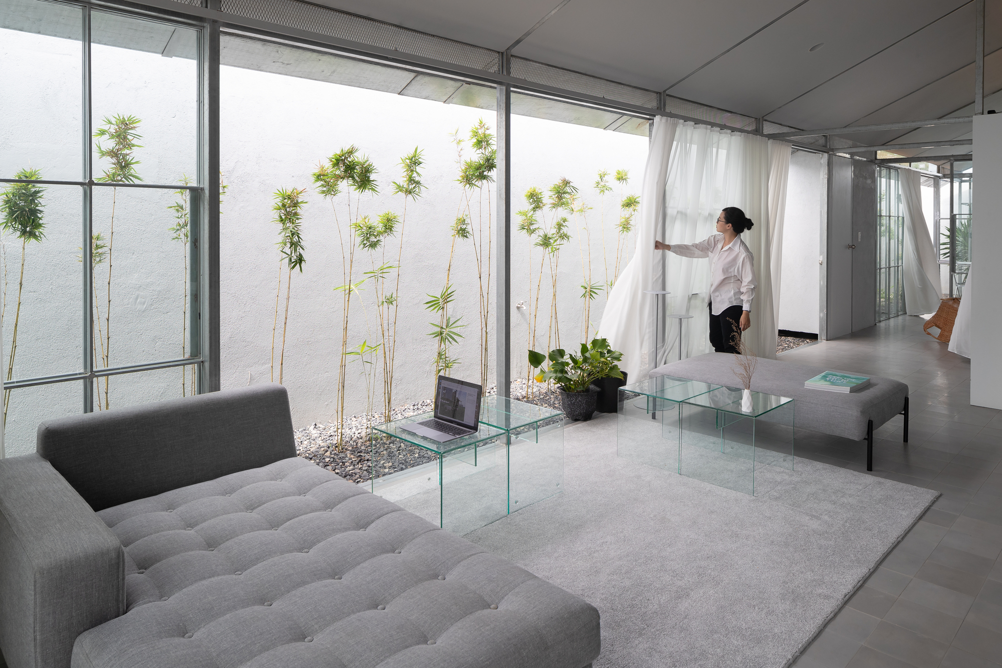 Living area with glass-walled courtyard planted with bamboo under diffused daylight