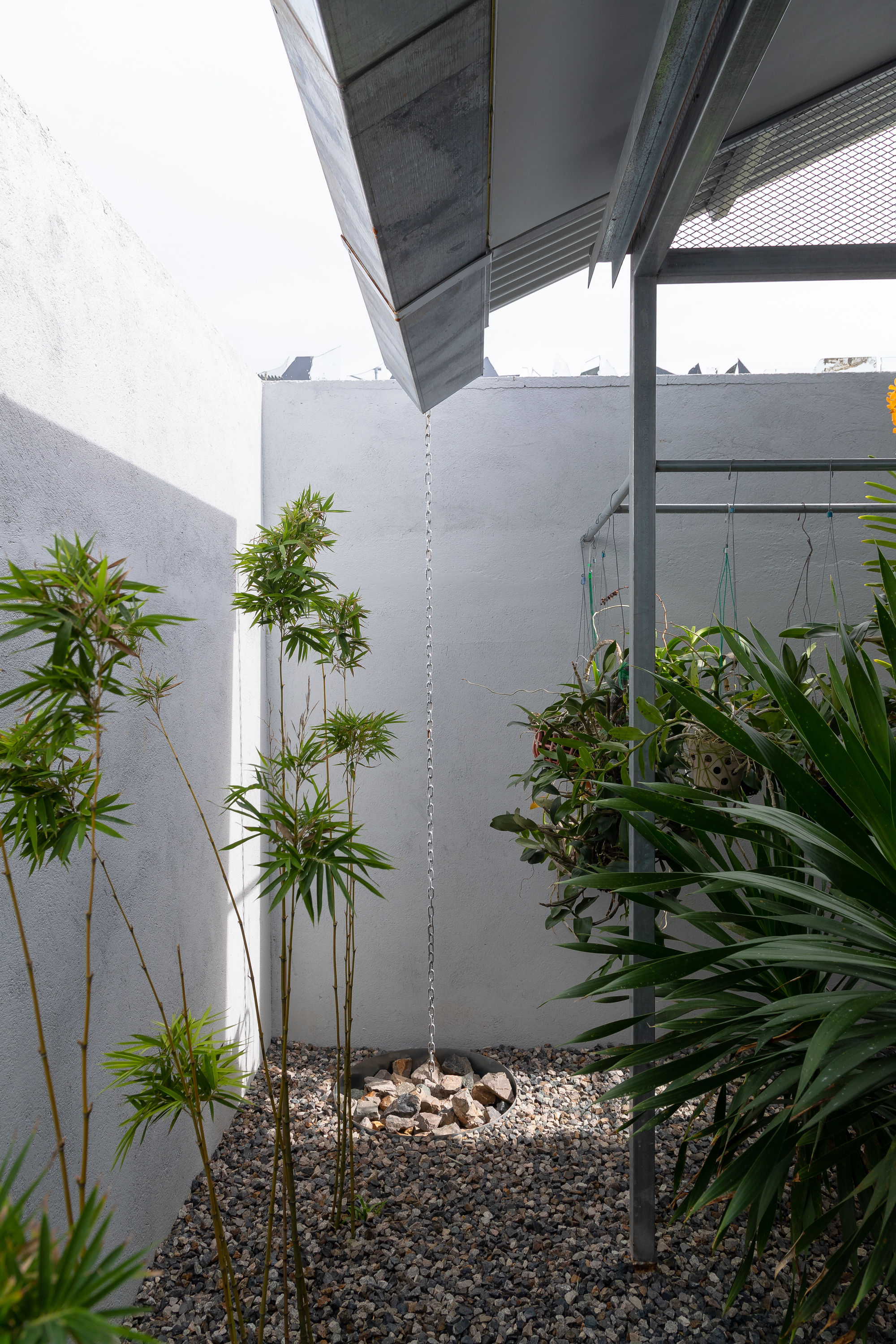 Corner courtyard with white painted walls, bamboo plants, and gravel ground cover