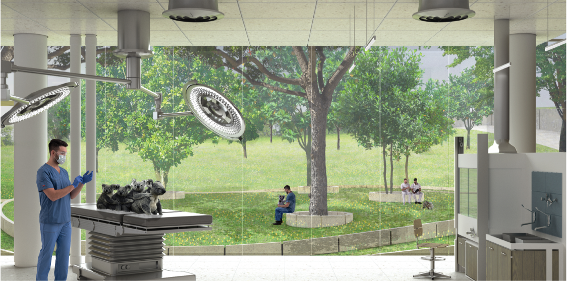 State-of-the-art rehabilitation and treatment facilities overlook natural habitats, connecting wildlife care with ecological awareness.