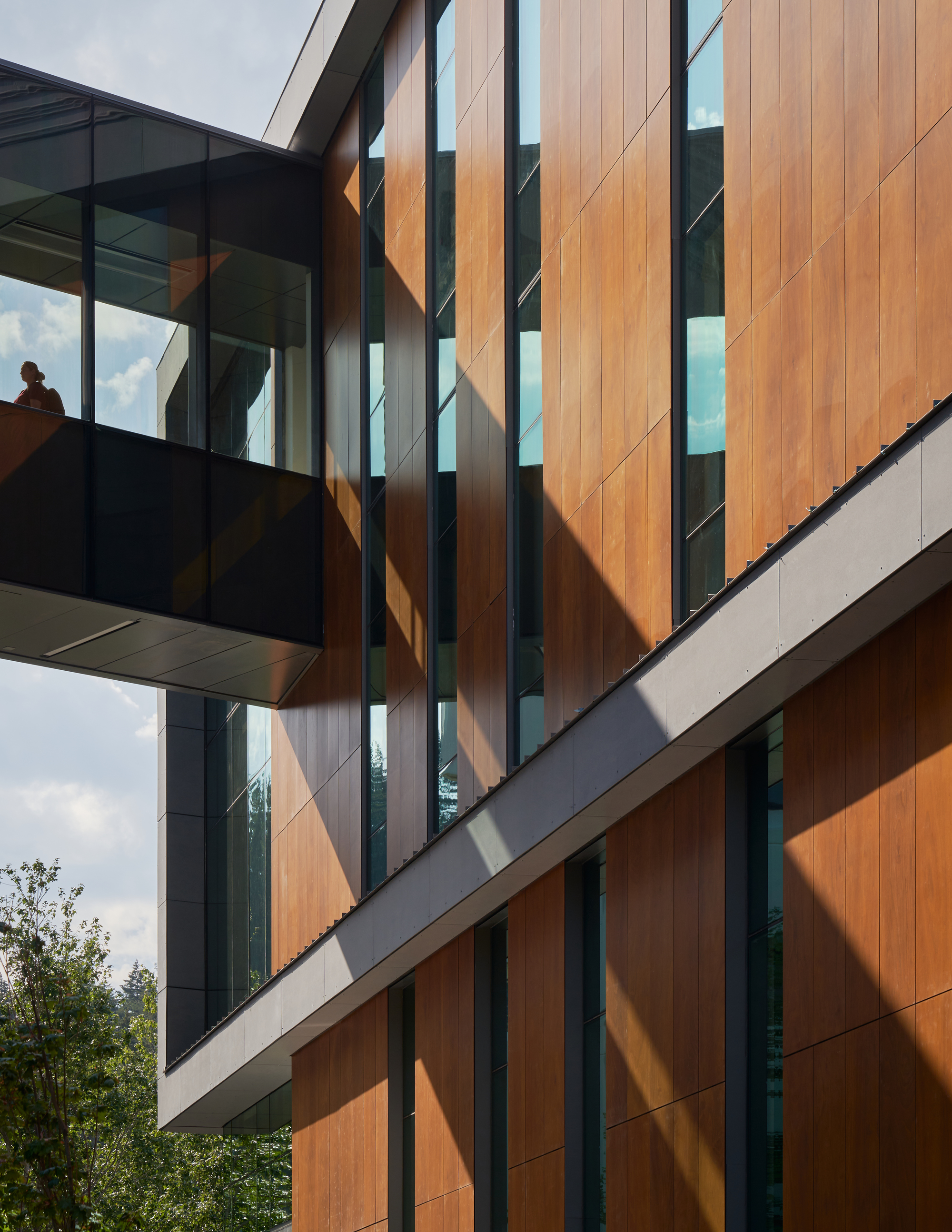 Vertical timber cladding facade with glazed skybridge and afternoon sunlight casting sharp diagonal shadows