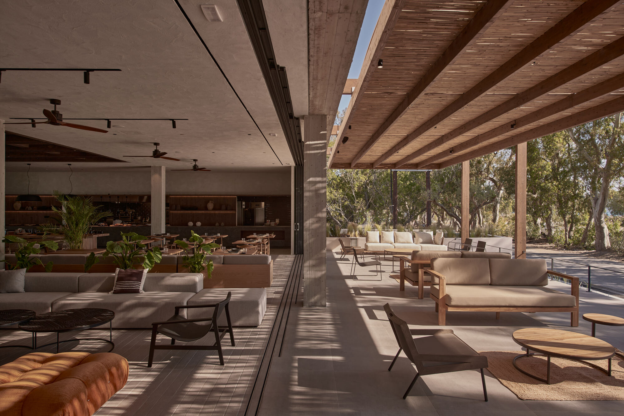 Open living space with concrete columns and exposed timber beams casting diagonal shadows across the floor