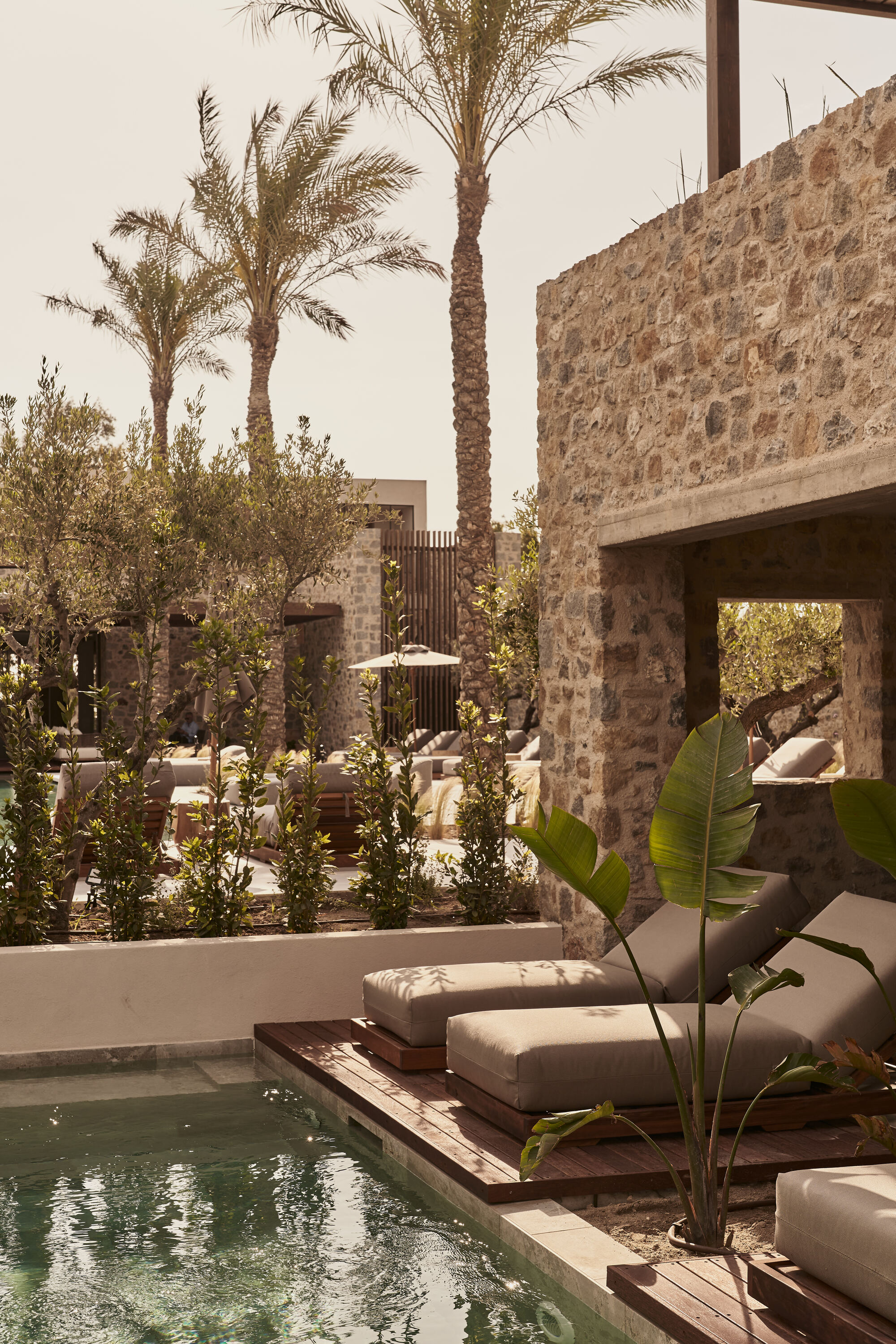 Courtyard pool with timber deck and planted beds framed by stone walls and date palms