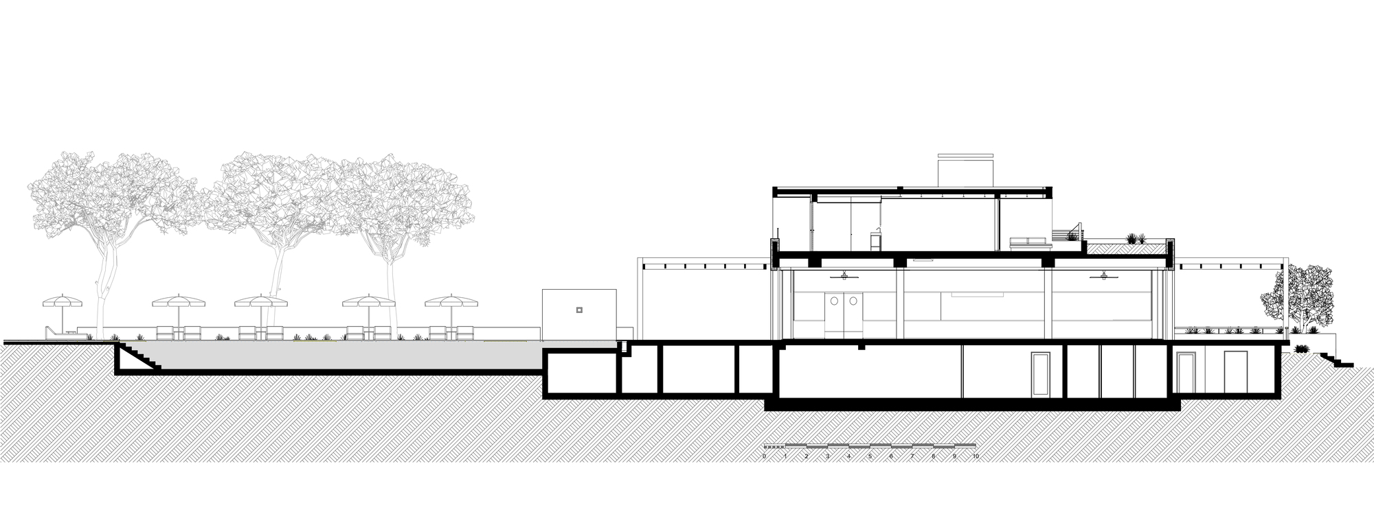 Section drawing showing split-level volumes with a row of trees along the sloped site