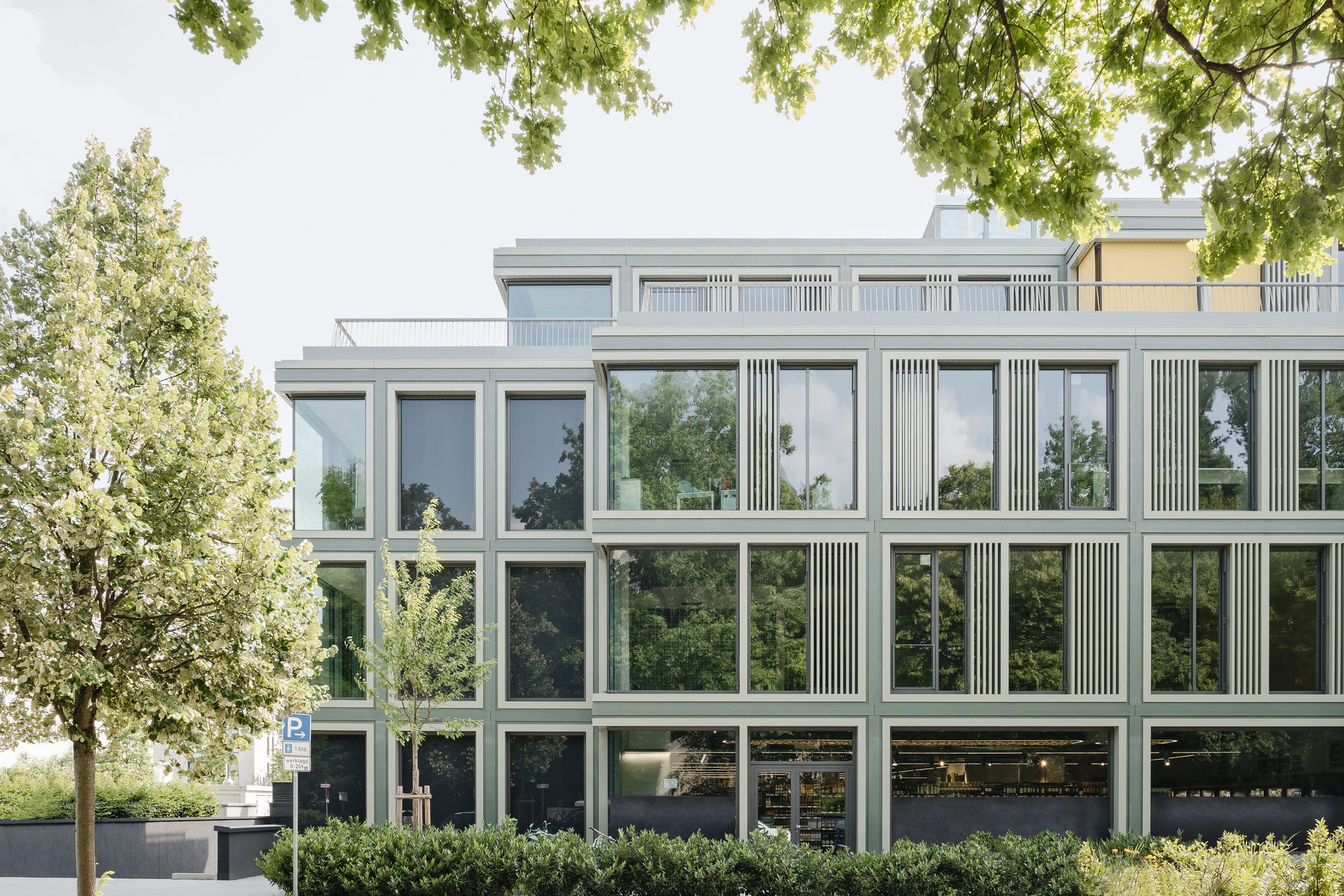 Glass facade with vertical fin elements framed by overhanging tree branches in summer