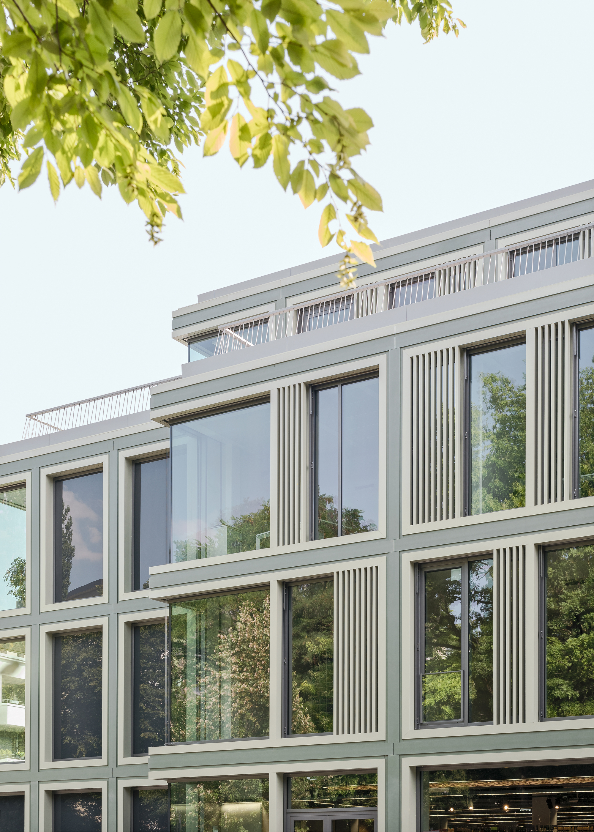 Upper floors of the facade with recessed terrace behind vertical screening and overhanging tree branches