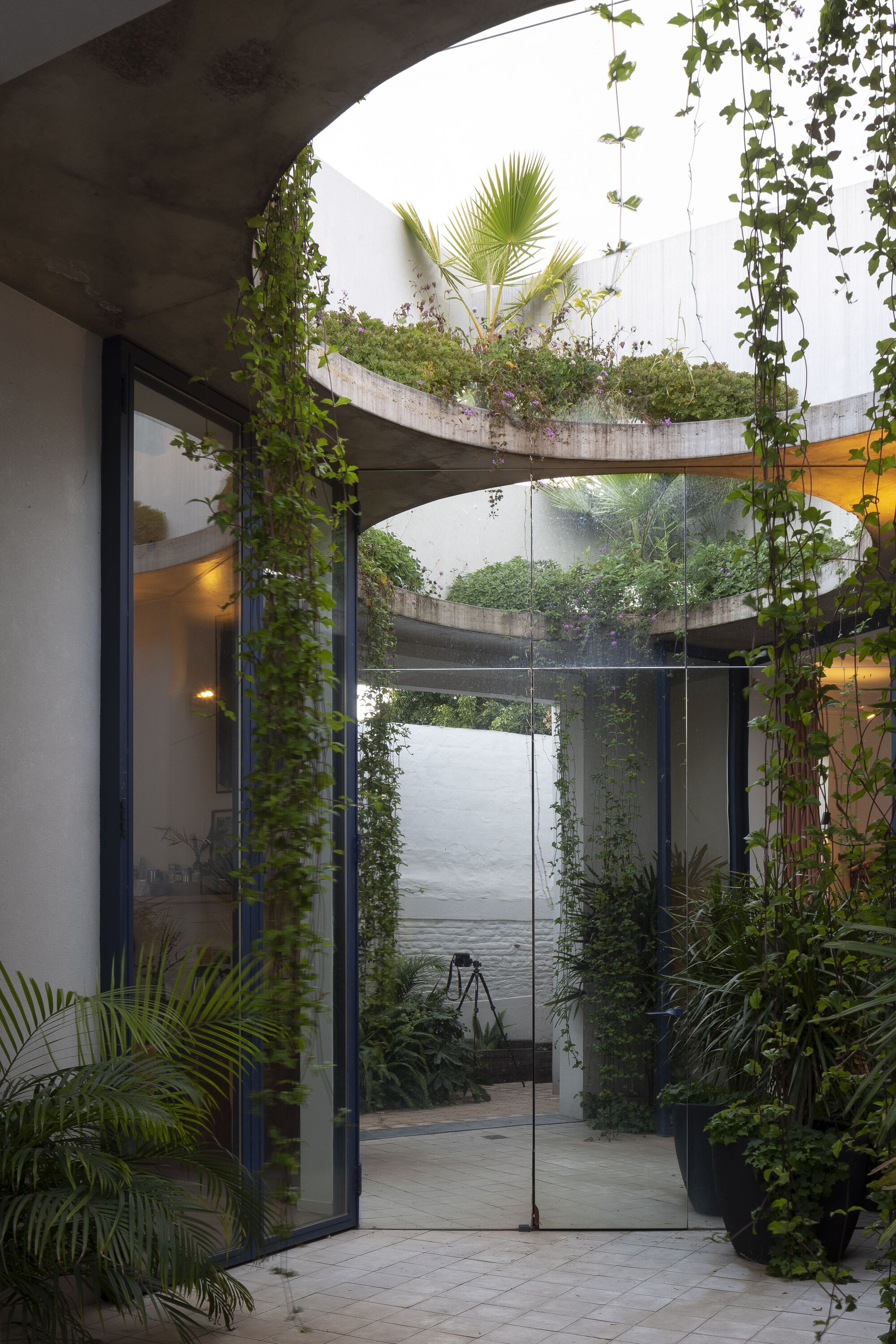 Interior courtyard with spiraling concrete planters wrapped in climbing vines and potted palms below