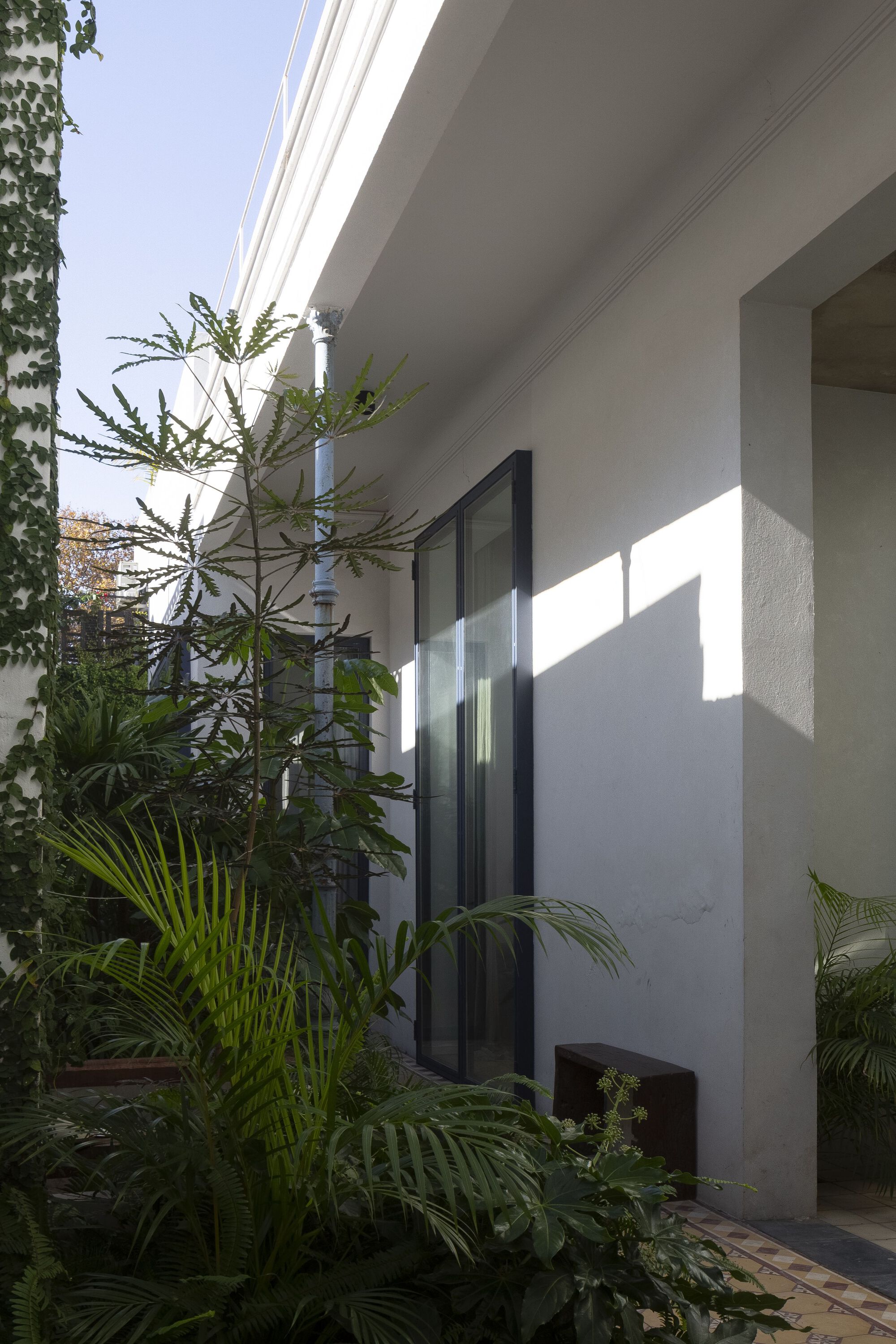 Exterior terrace planted with palms and tropical foliage beside a sliding glass door in afternoon sun