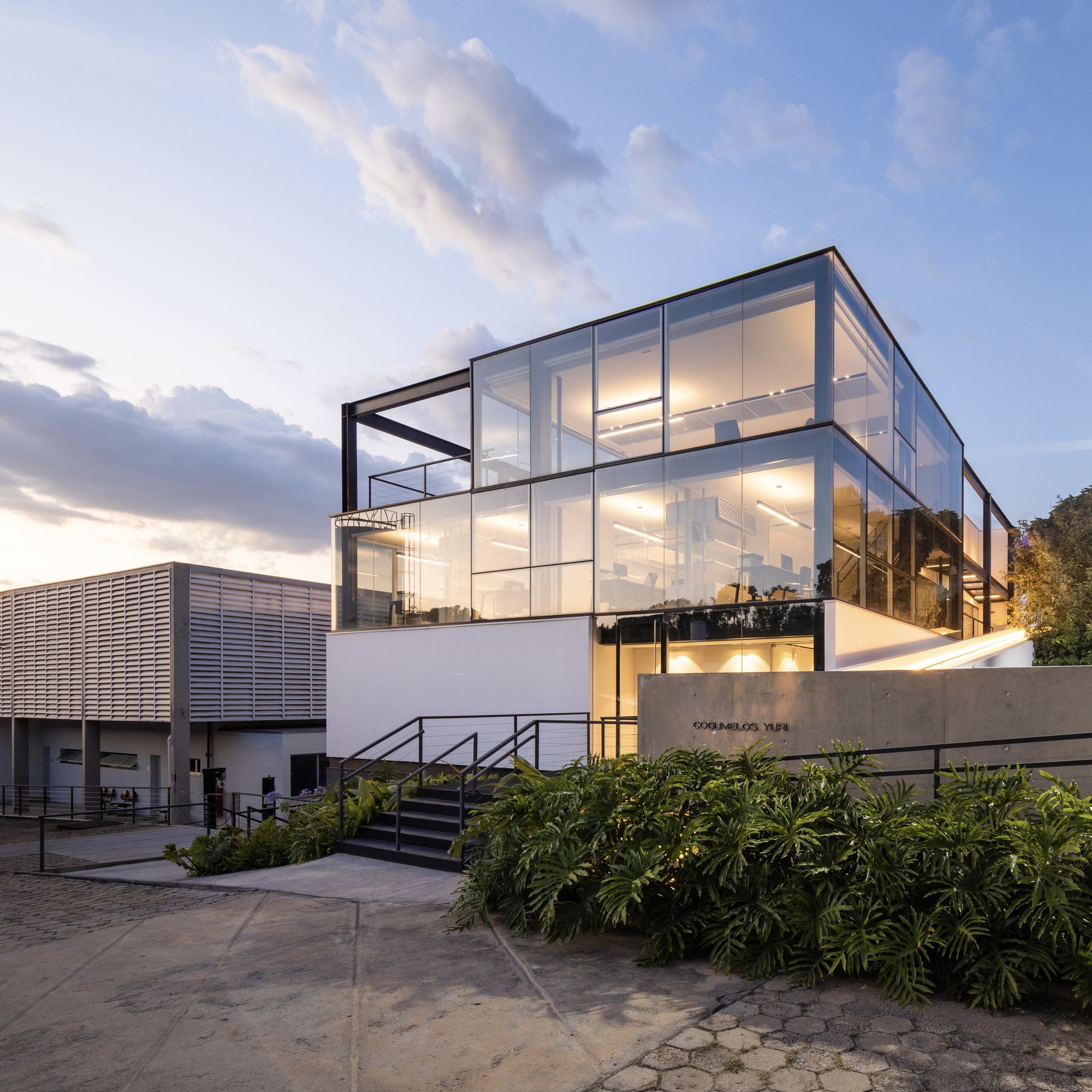 Three-story glass and steel facade with white base wall and planted foreground at dusk
