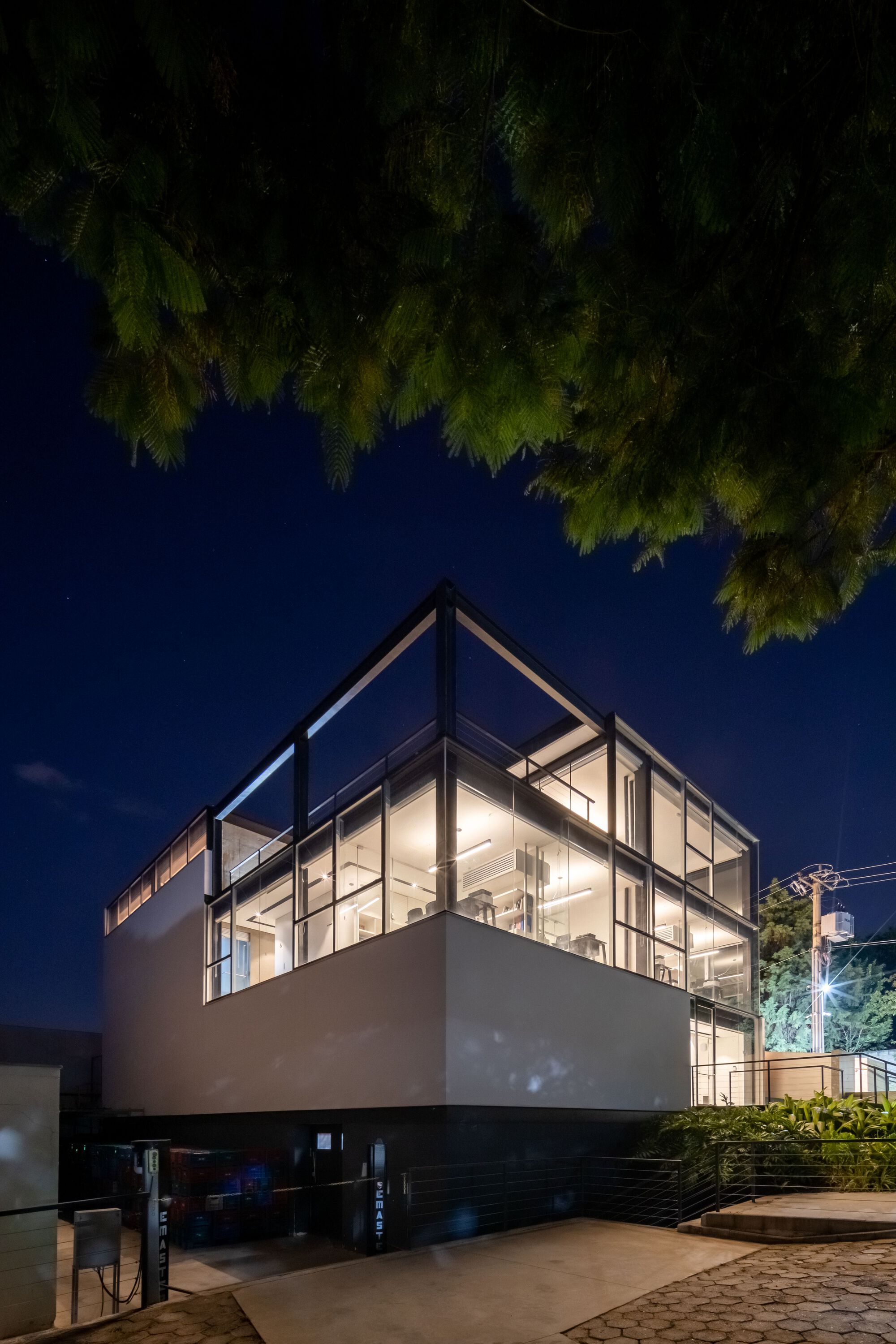 Night view of the glazed steel frame building glowing beneath overhanging tree branches