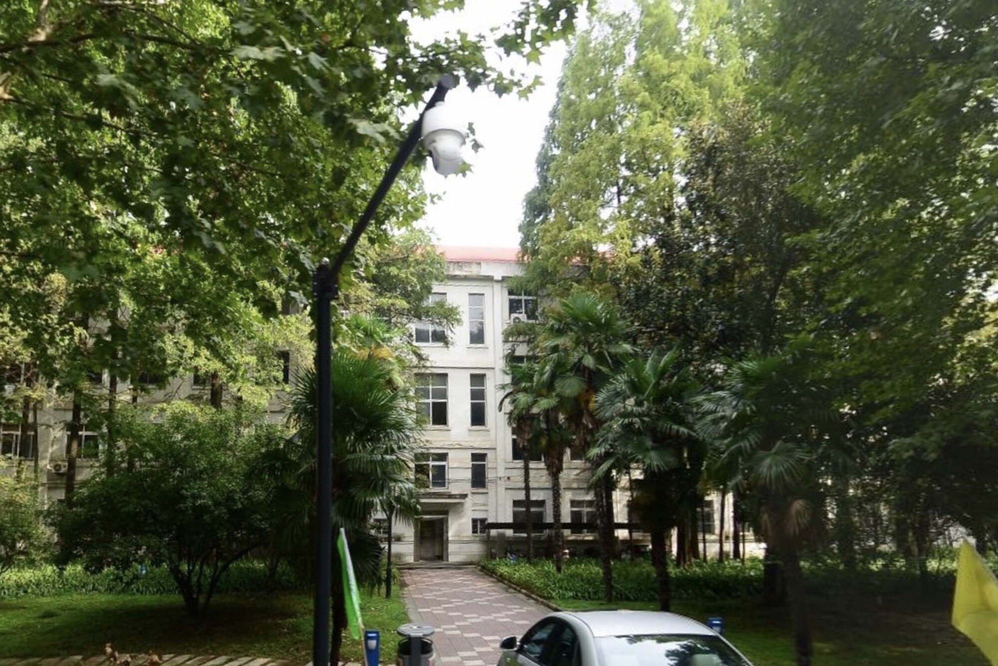 Tree-lined pathway leading to a white facade building glimpsed through dense foliage
