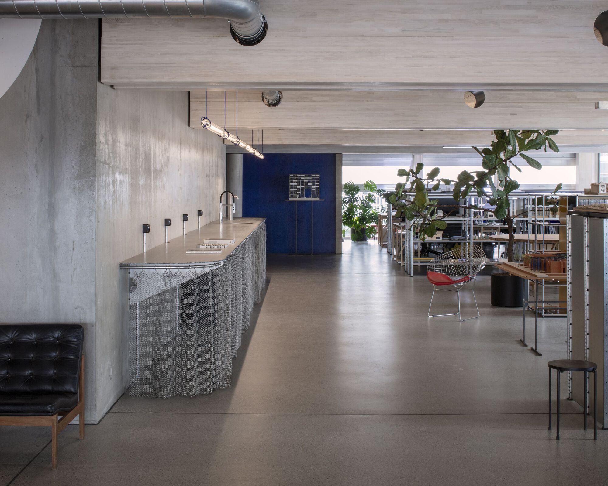 Open office interior with exposed concrete, perforated metal counter, and deep blue wall beyond shelving