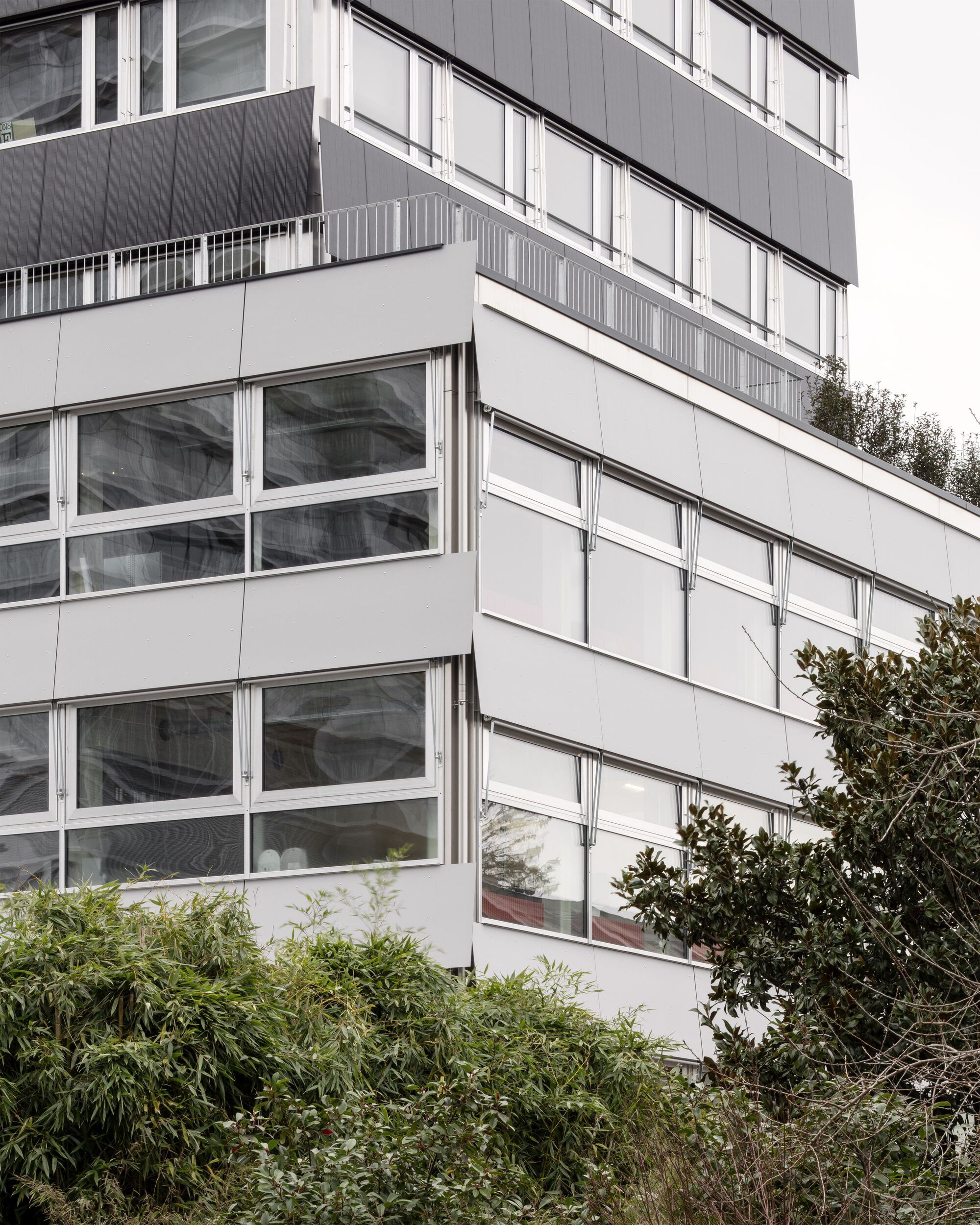 Corner balconies with metal railings and glazed openings framed by dense foliage below