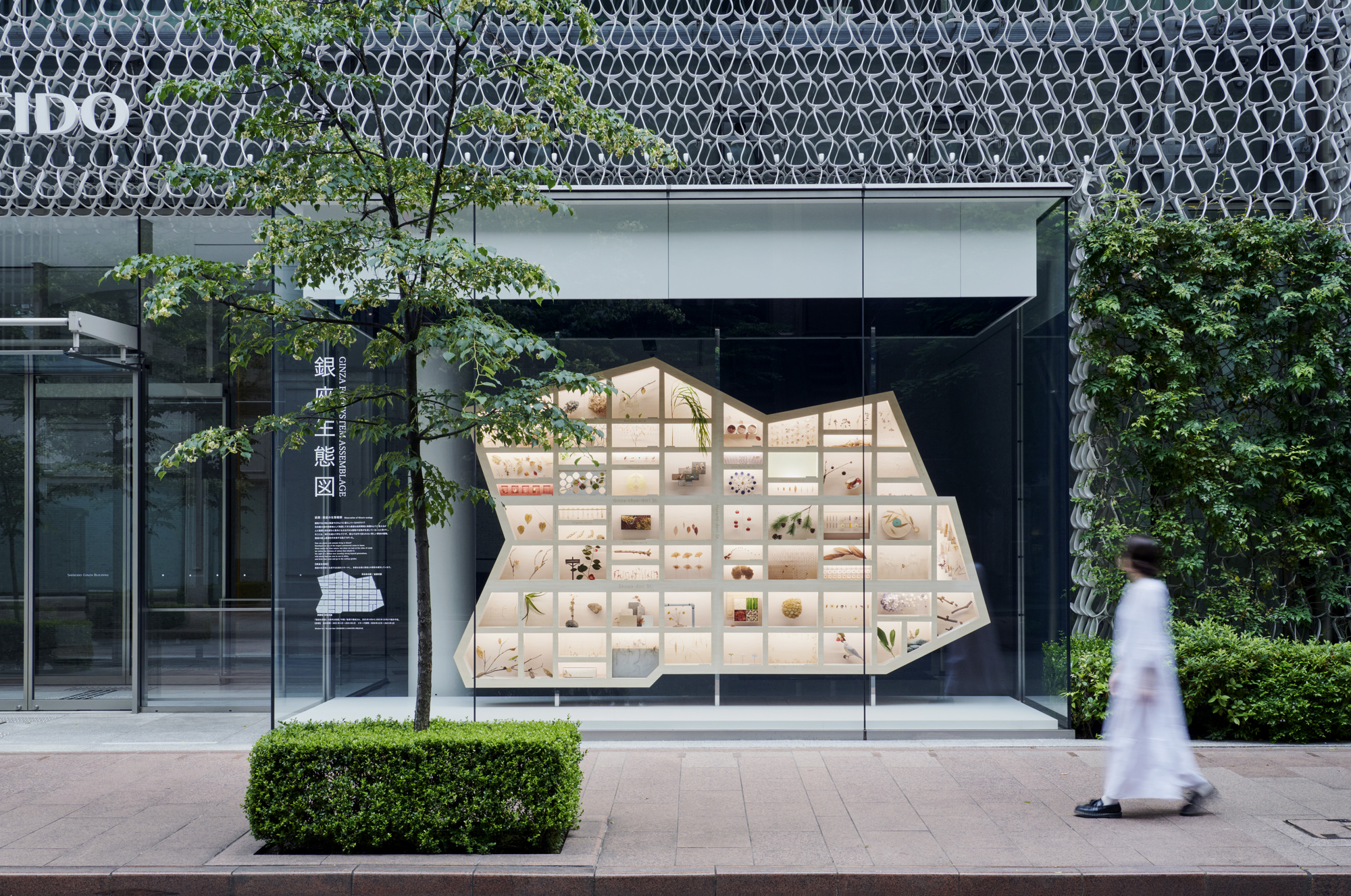 Street view of the glass storefront displaying a pentagonal plywood shelf grid filled with material specimens
