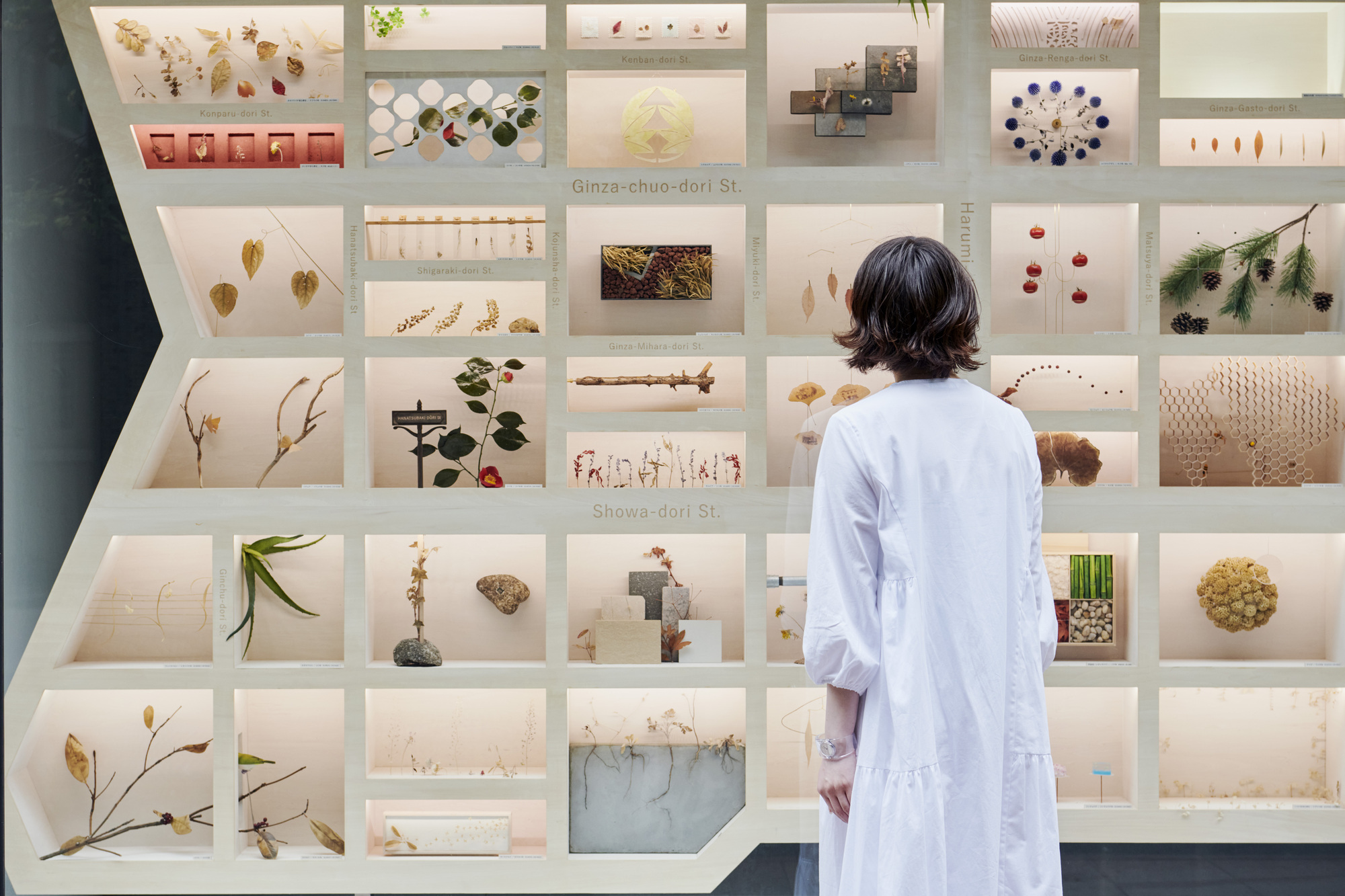 Visitor in white coat examining a grid of compartments containing botanical and material specimens