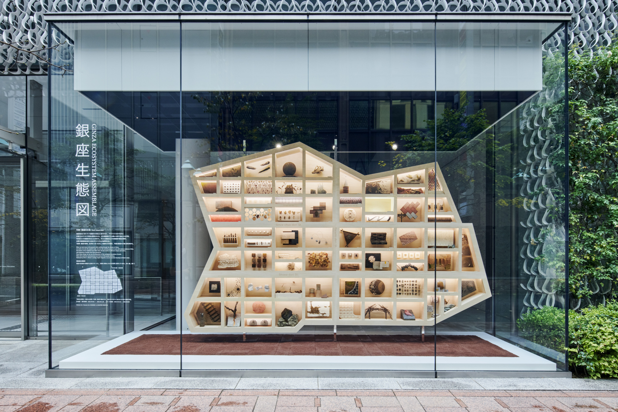 Front elevation of the angled plywood specimen wall visible through the full-height glazed facade
