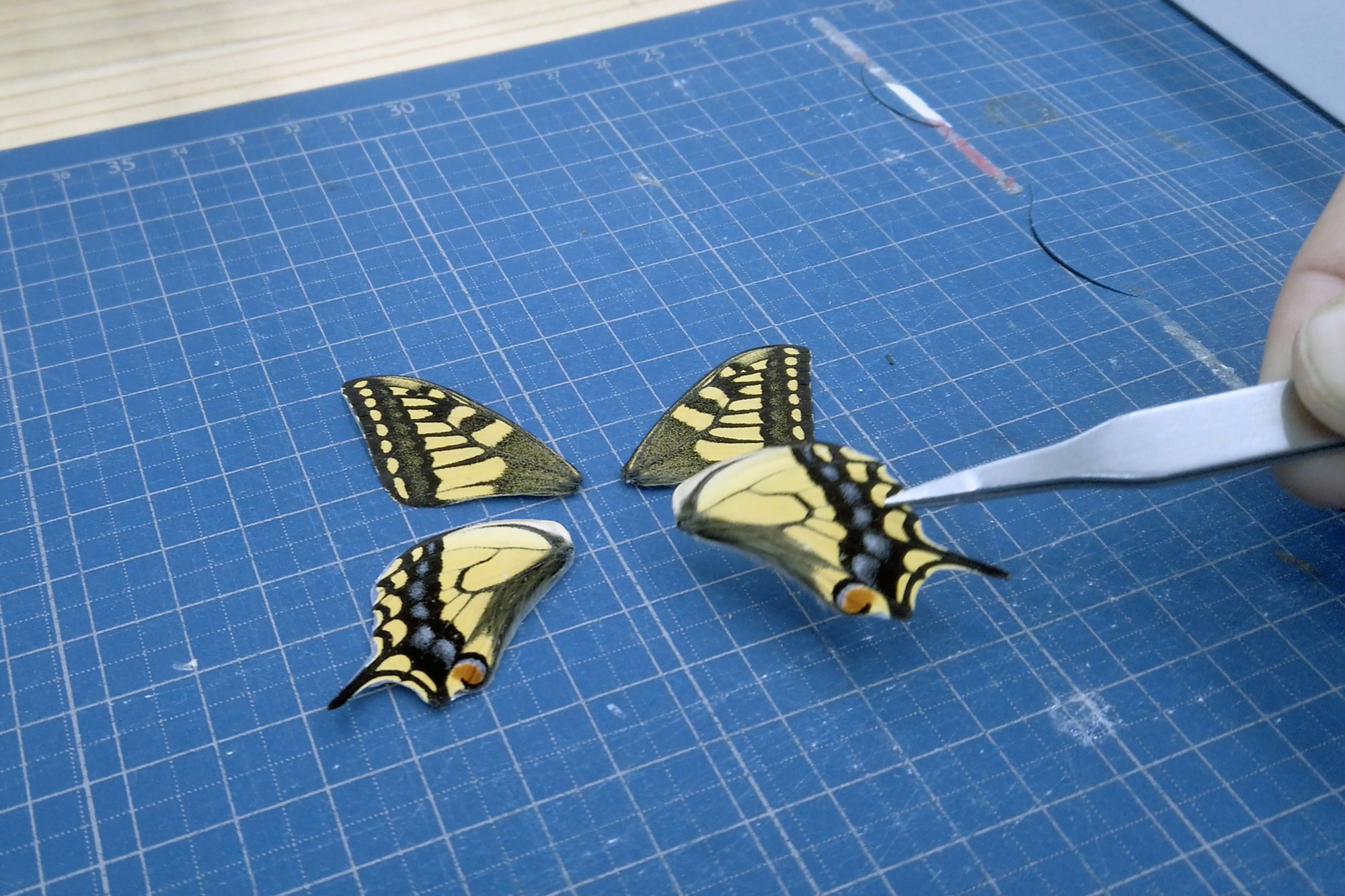 Two paper butterfly cutouts resting on a blue gridded cutting mat in a workshop