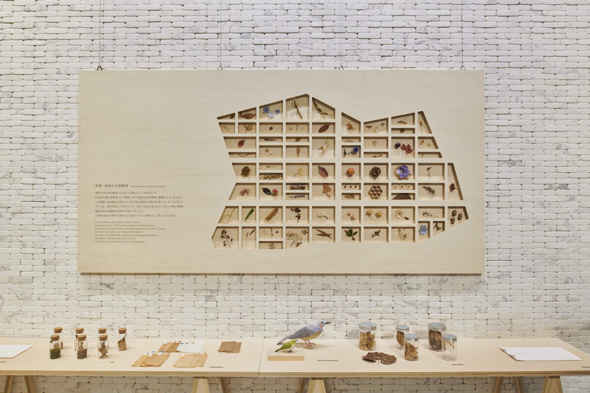 Wall-mounted specimen cabinet with compartments holding natural materials above a study table with white brick behind