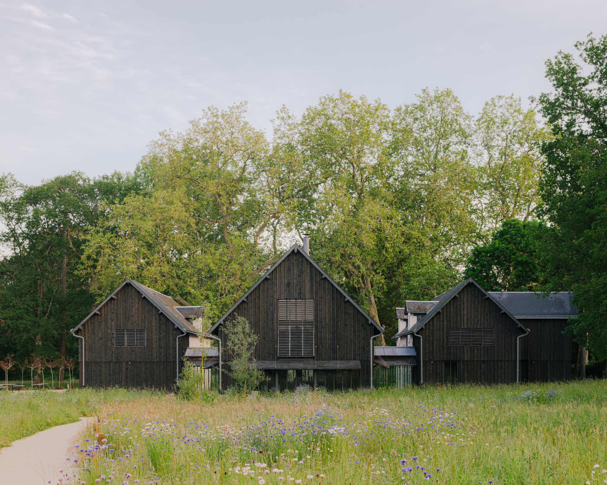 Three gabled timber structures with shuttered openings set in a wildflower field with trees behind