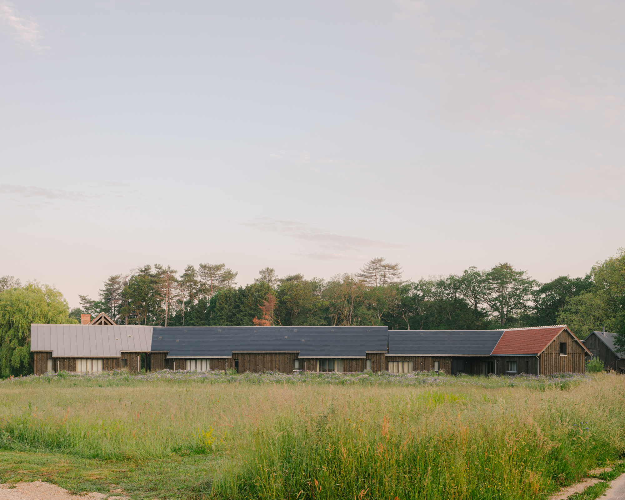 Linear timber-clad volume with varied rooflines set in a wildflower meadow at dusk