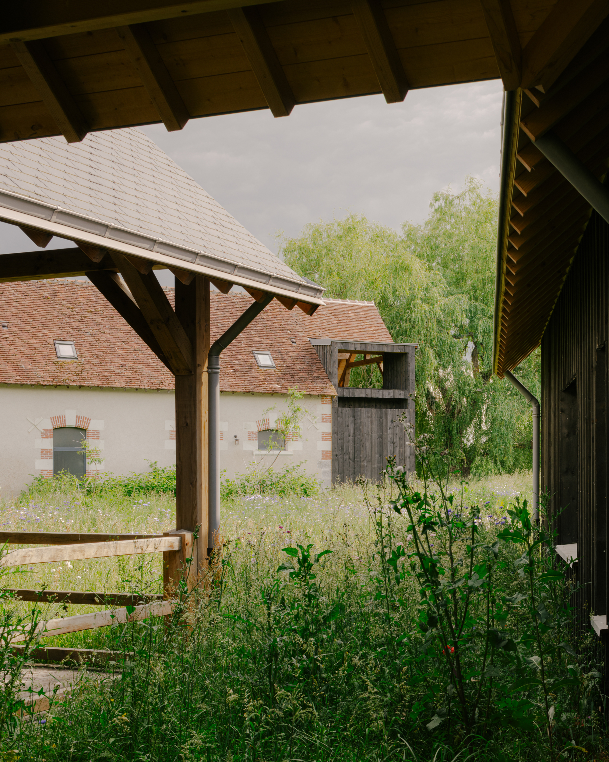 View from under a timber canopy toward a terracotta-roofed building through overgrown grasses and shrubs