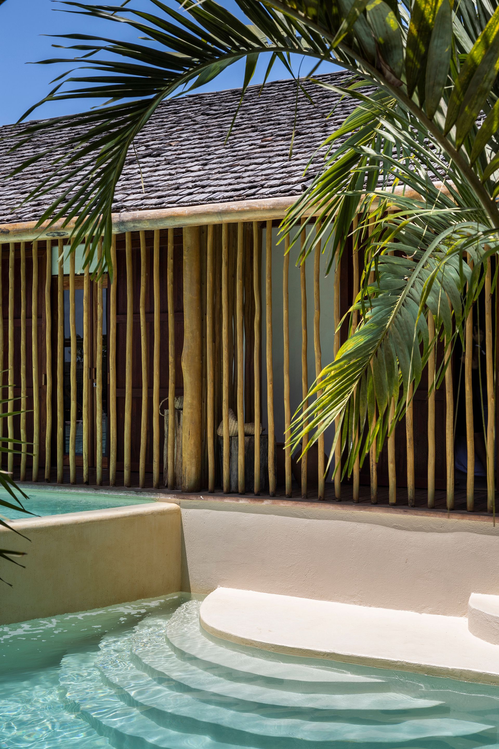 Curved pool steps and timber screen wall framed by palm fronds in dappled sunlight