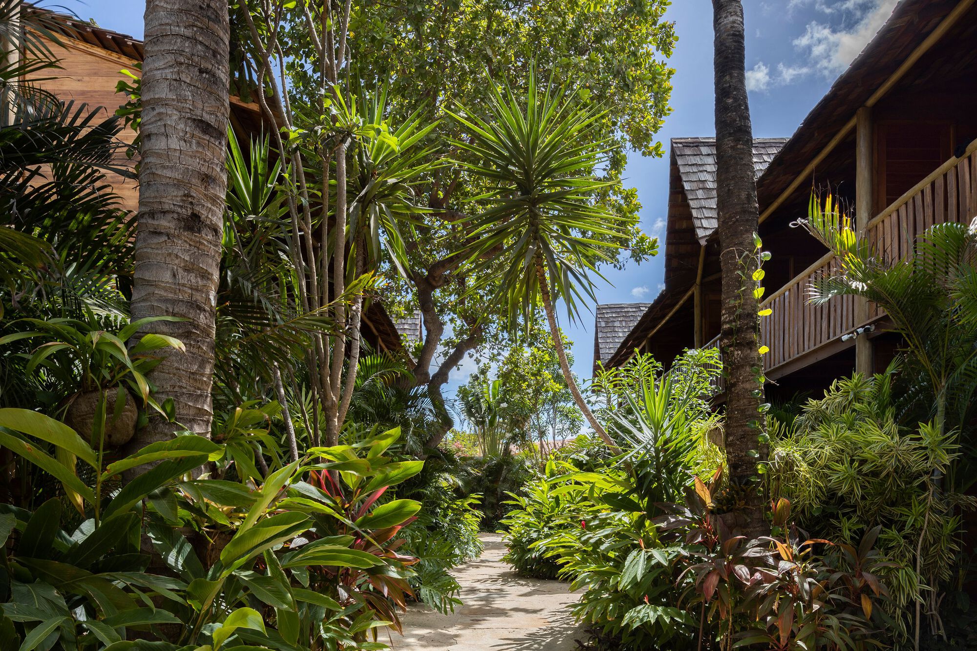 Garden pathway between thatched roof buildings lined with palms and tropical plantings