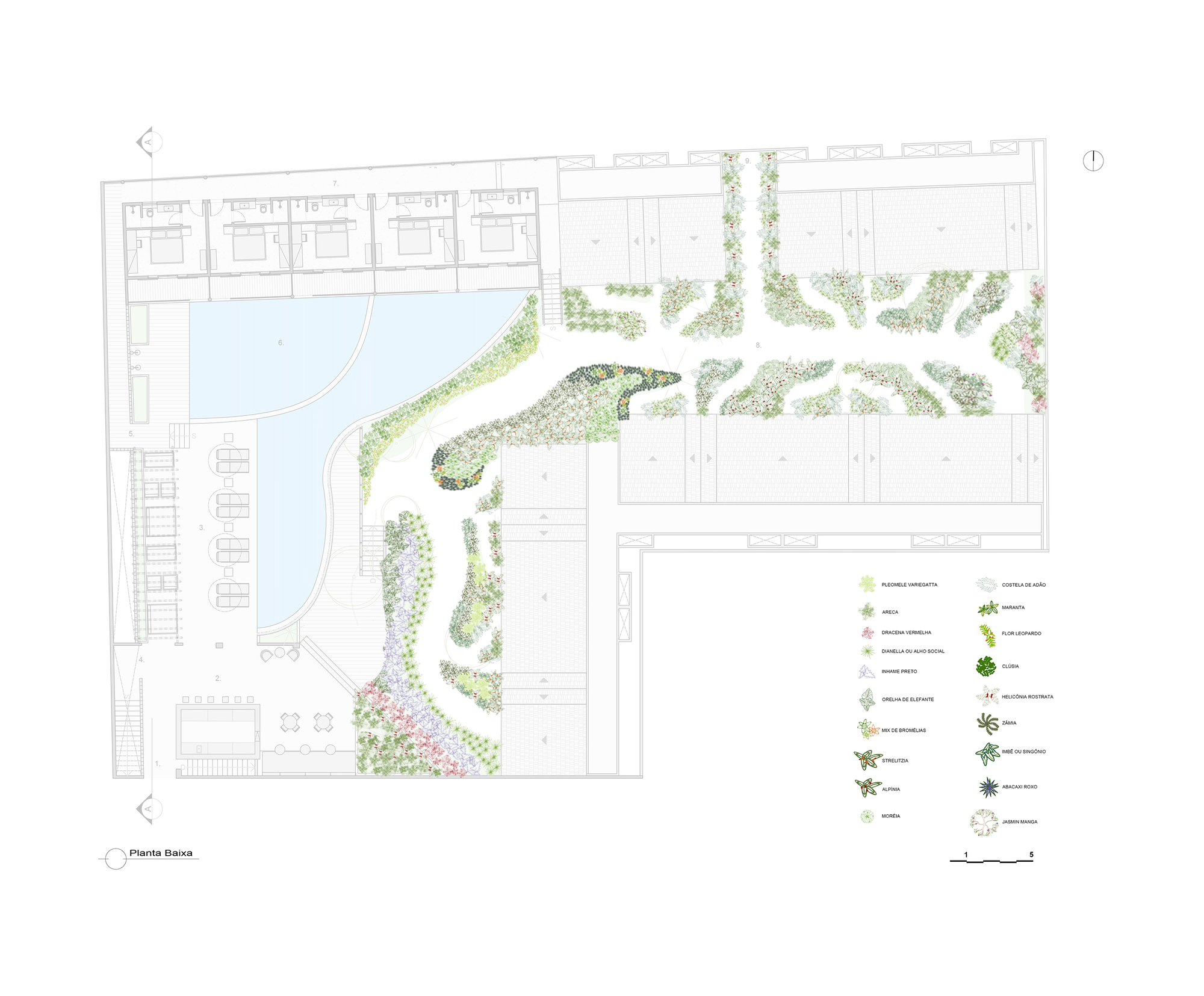 Planting plan drawing indicating landscape species distribution around pool and curved pathways