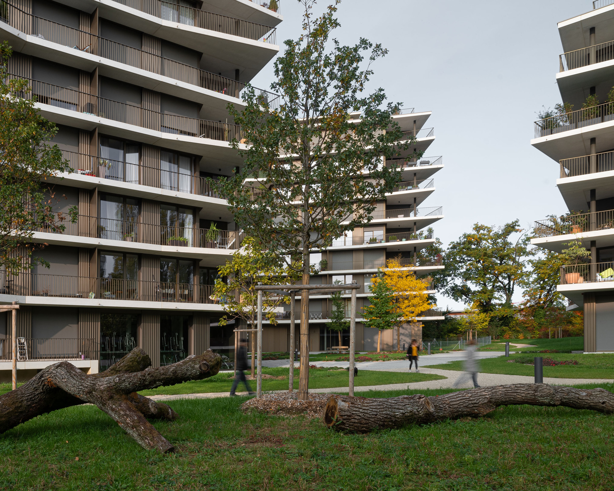 Stacked balconies with timber screens between two residential blocks and fallen tree trunks in the foreground