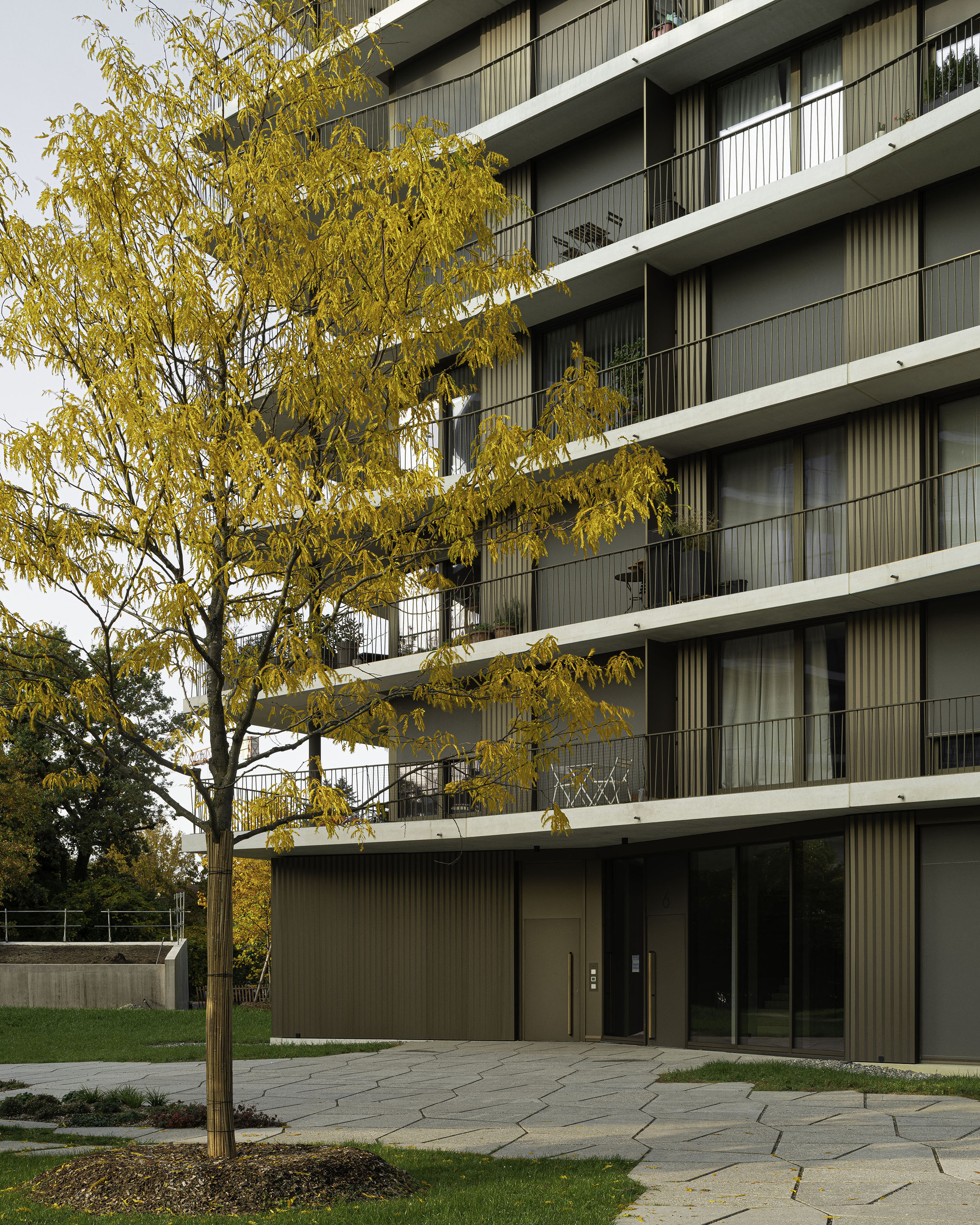 Ground floor entrance with ribbed metal cladding and glass doors beneath yellowing autumn trees and paving stones