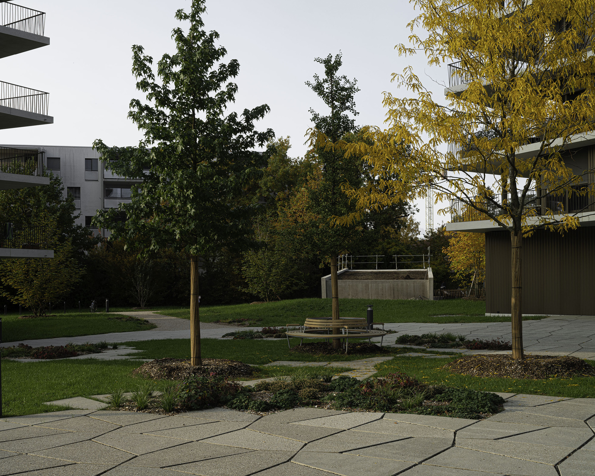 Courtyard garden with circular timber pergola, planted beds, and yellowing trees between residential volumes at dusk