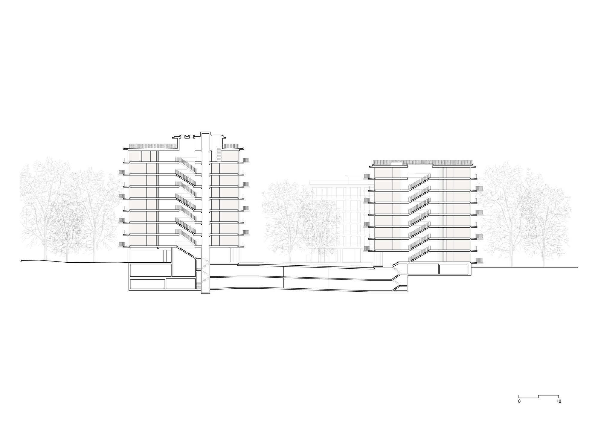 Section drawing showing two residential towers with staggered floor plates and a connecting podium base among trees