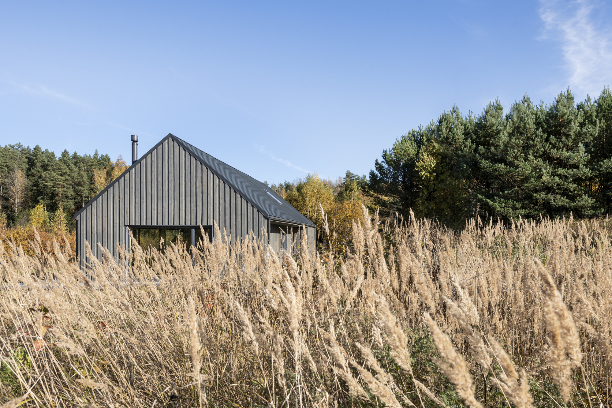 Dark timber-clad barn form rising above golden autumn grasses and evergreen forest backdrop