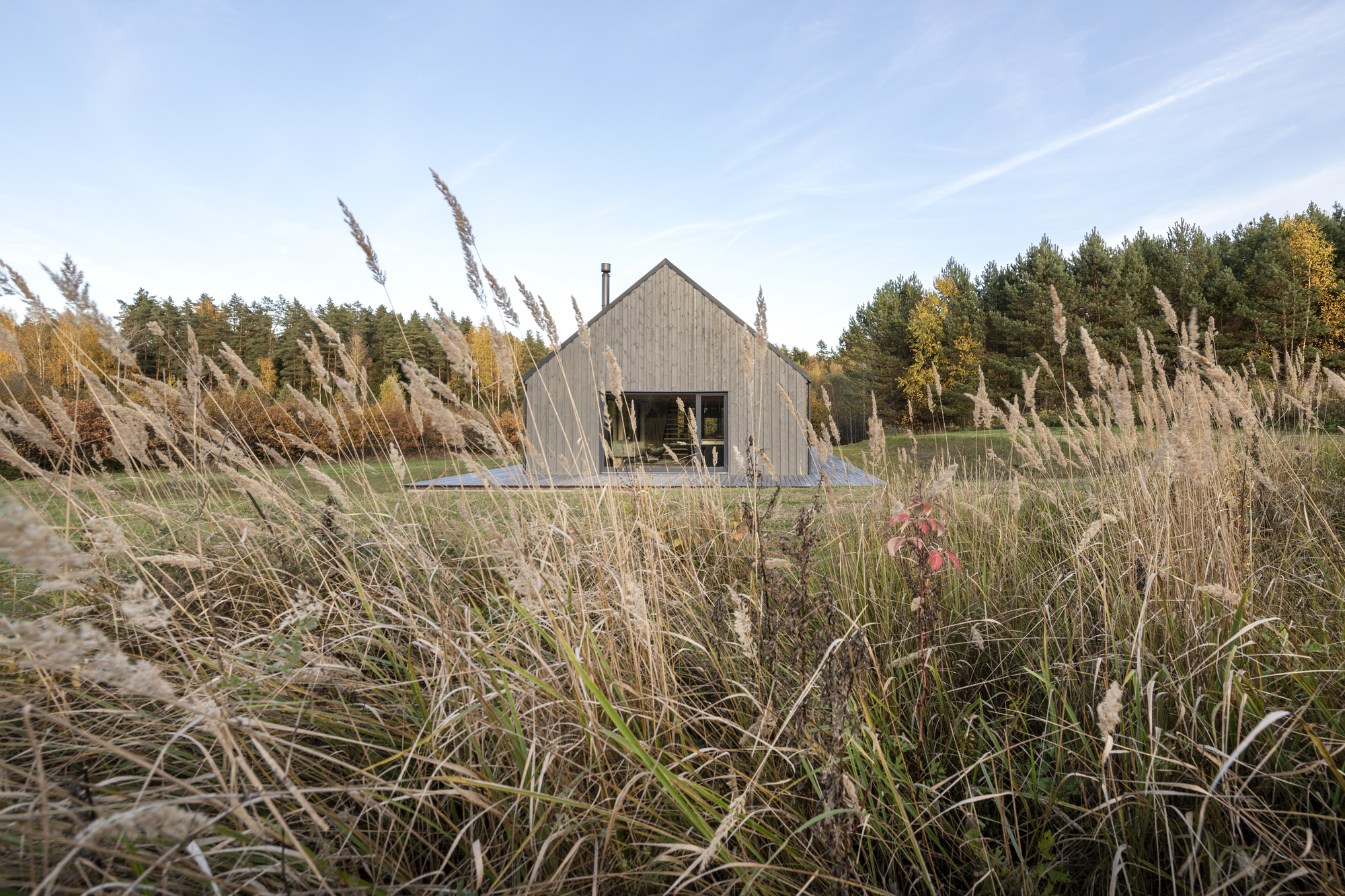 Weathered timber-clad gable end seen through a foreground of wild grasses and flowering plants