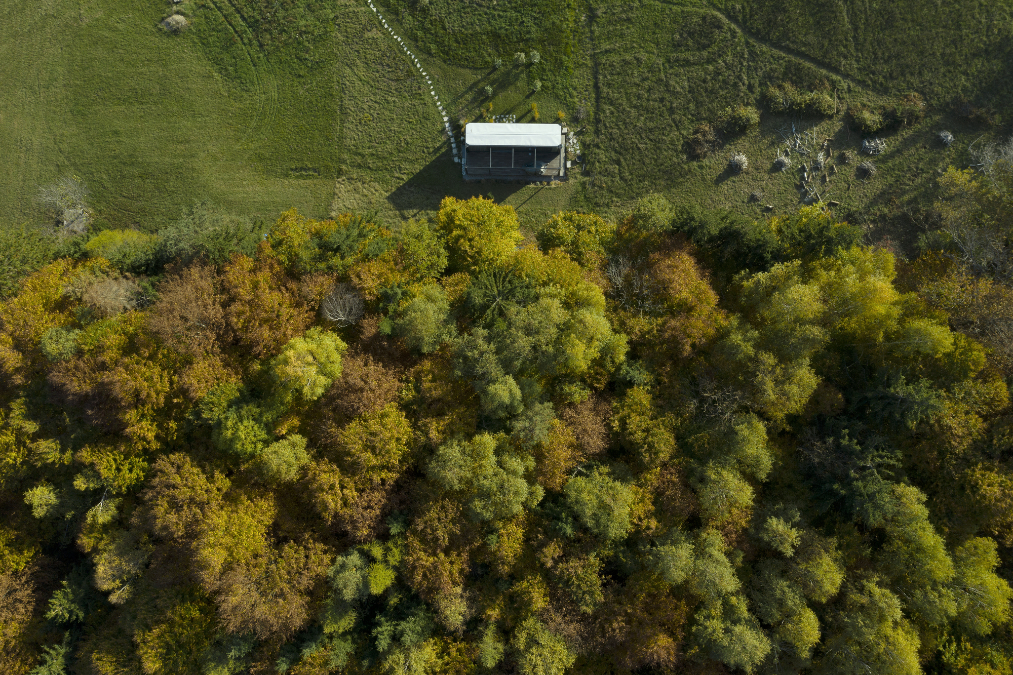 Aerial view of a compact structure nestled at the edge of dense autumn forest and open field