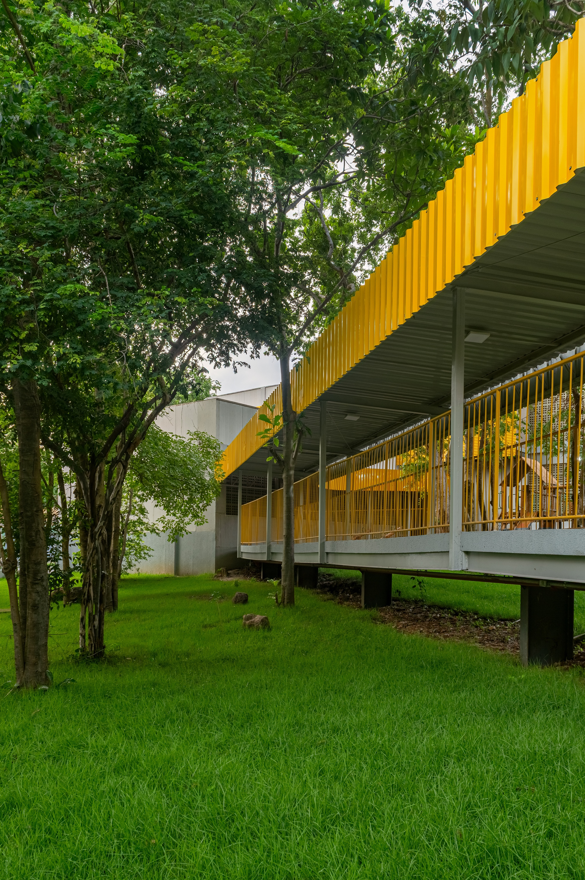 Exterior view of raised walkway with yellow mesh balustrade and ribbed soffit among green trees