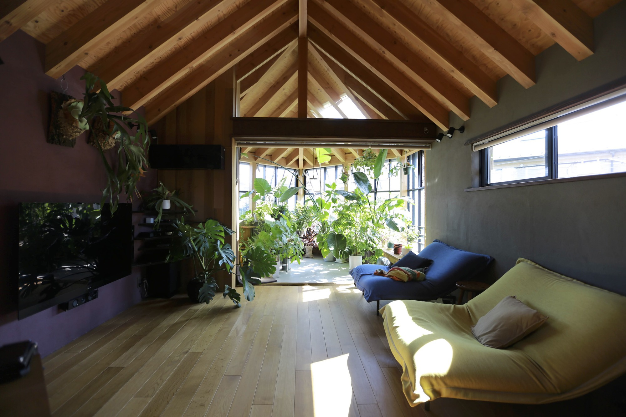 Living space with exposed timber rafters and an enclosed plant-filled sunroom framed by concrete walls and sunlight