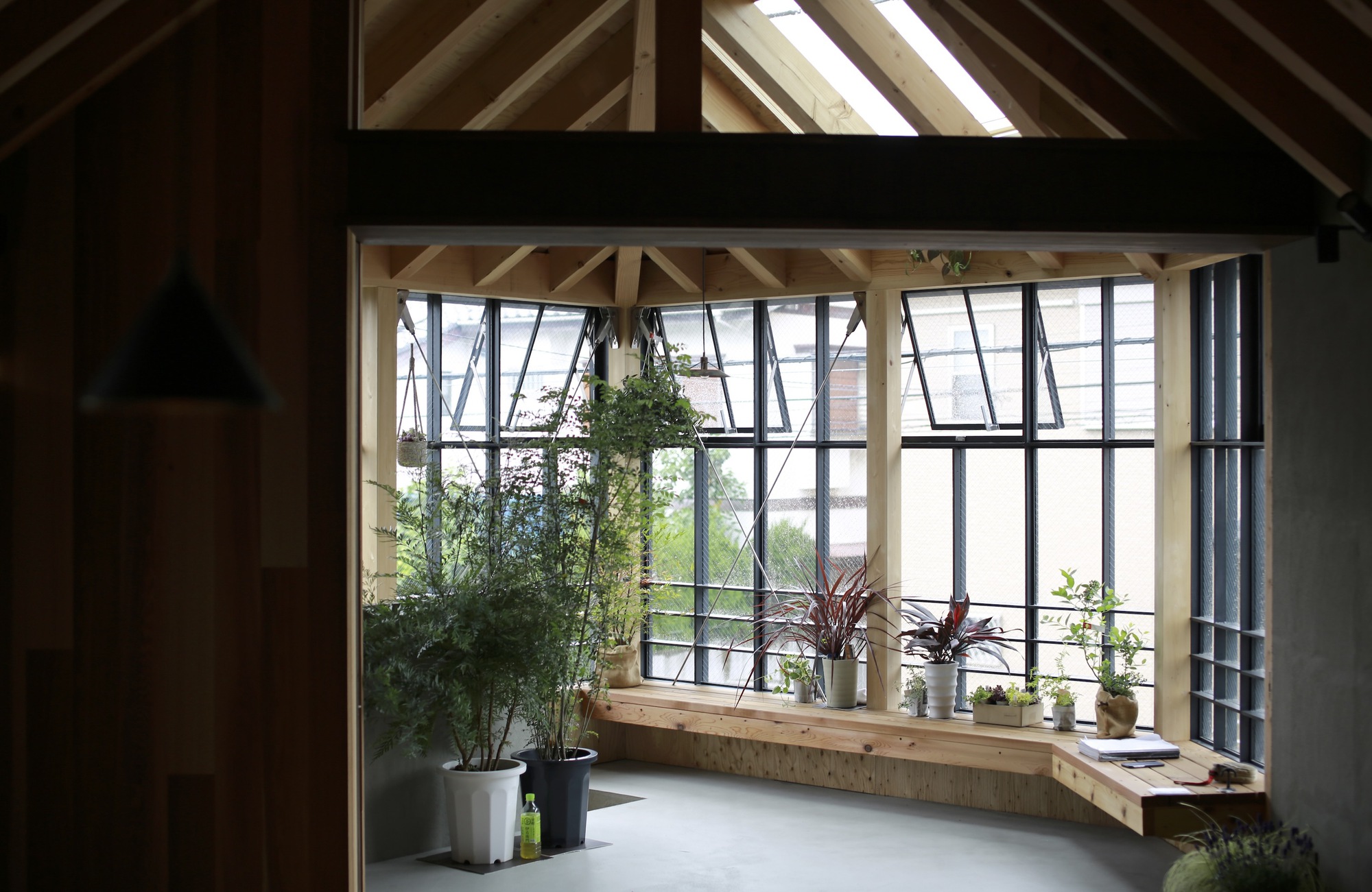 Interior greenhouse space with operable steel-framed windows, timber bench seating and potted plants on white flooring