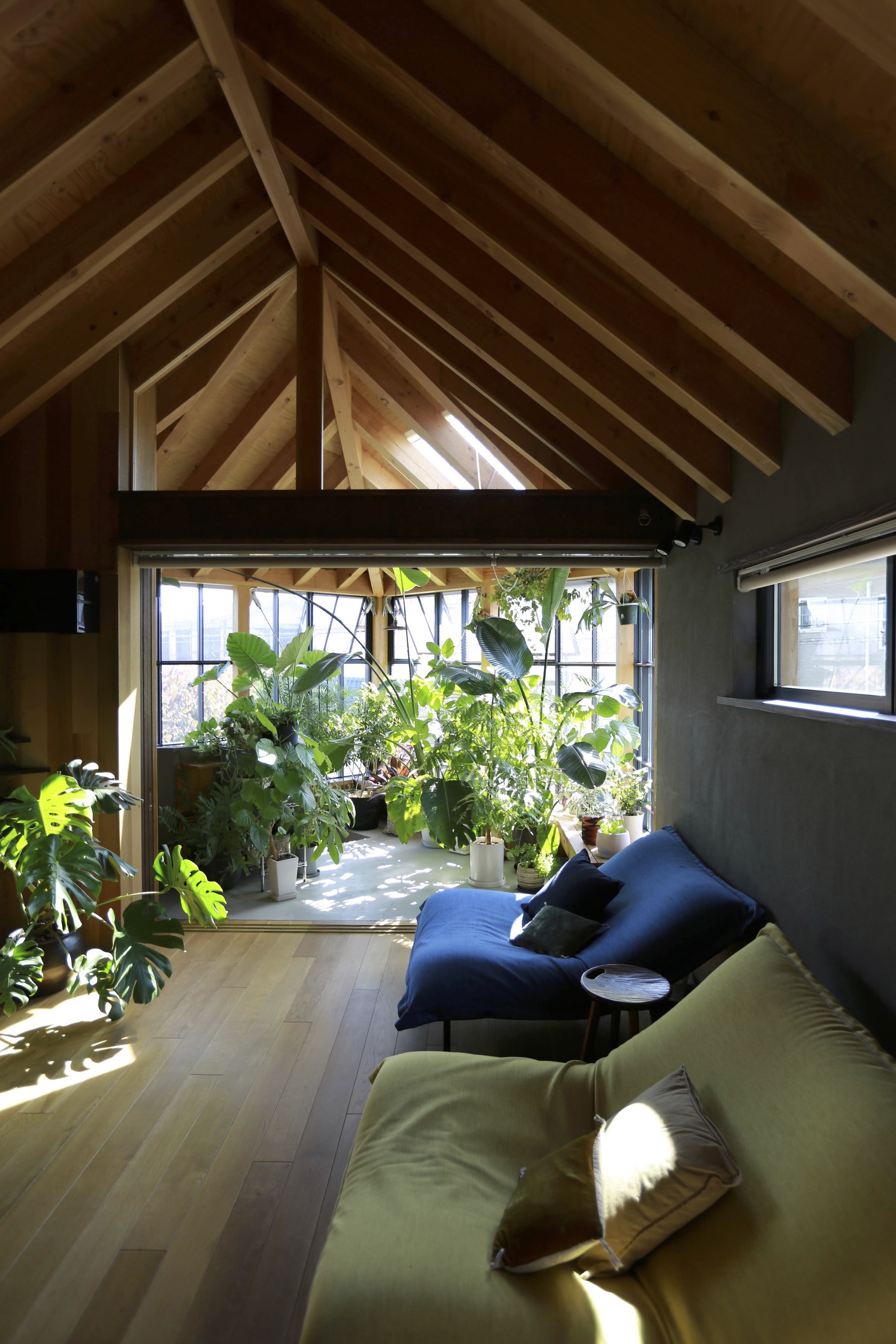 Interior living space beneath exposed timber rafters with gridded window framing potted greenery