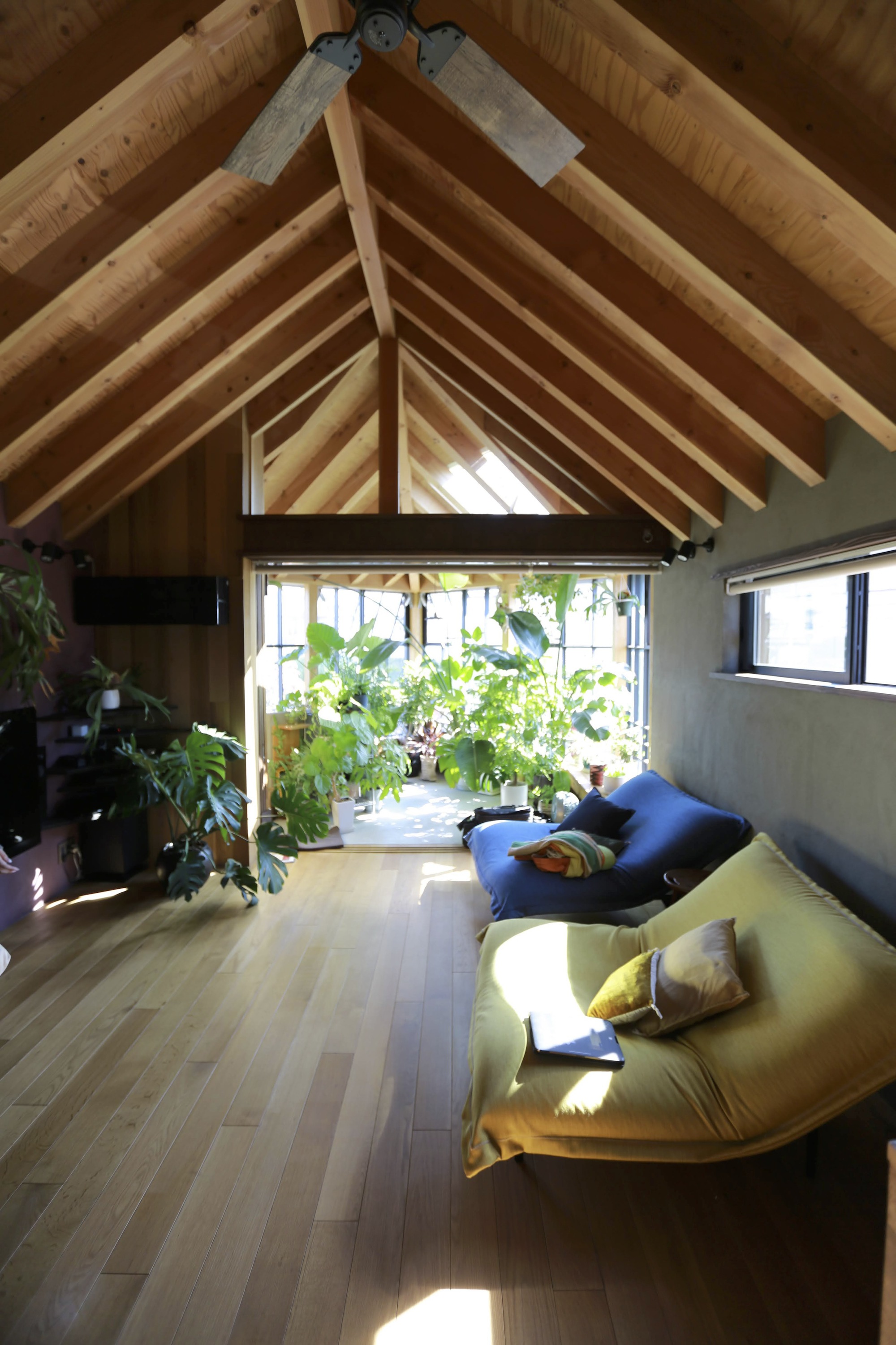 Open living area with gabled timber ceiling and corner window wall filled with plants