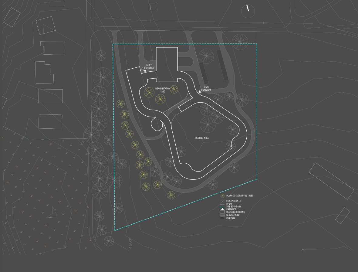 Site plan showcasing rehabilitation yards, visitor routes, preserved vegetation, and the project's relationship with the terrain.