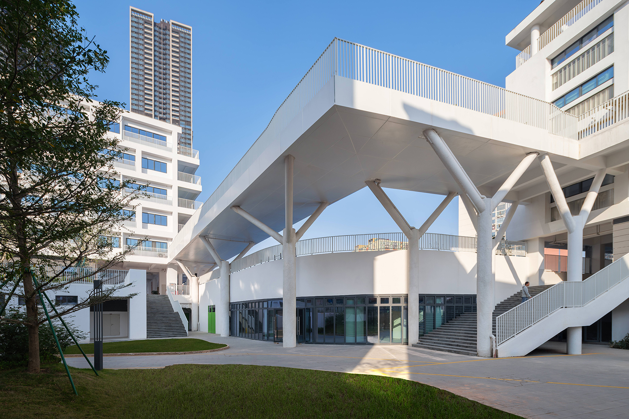 Entrance canopy with white branching steel columns supporting a flat roof over glazed facade