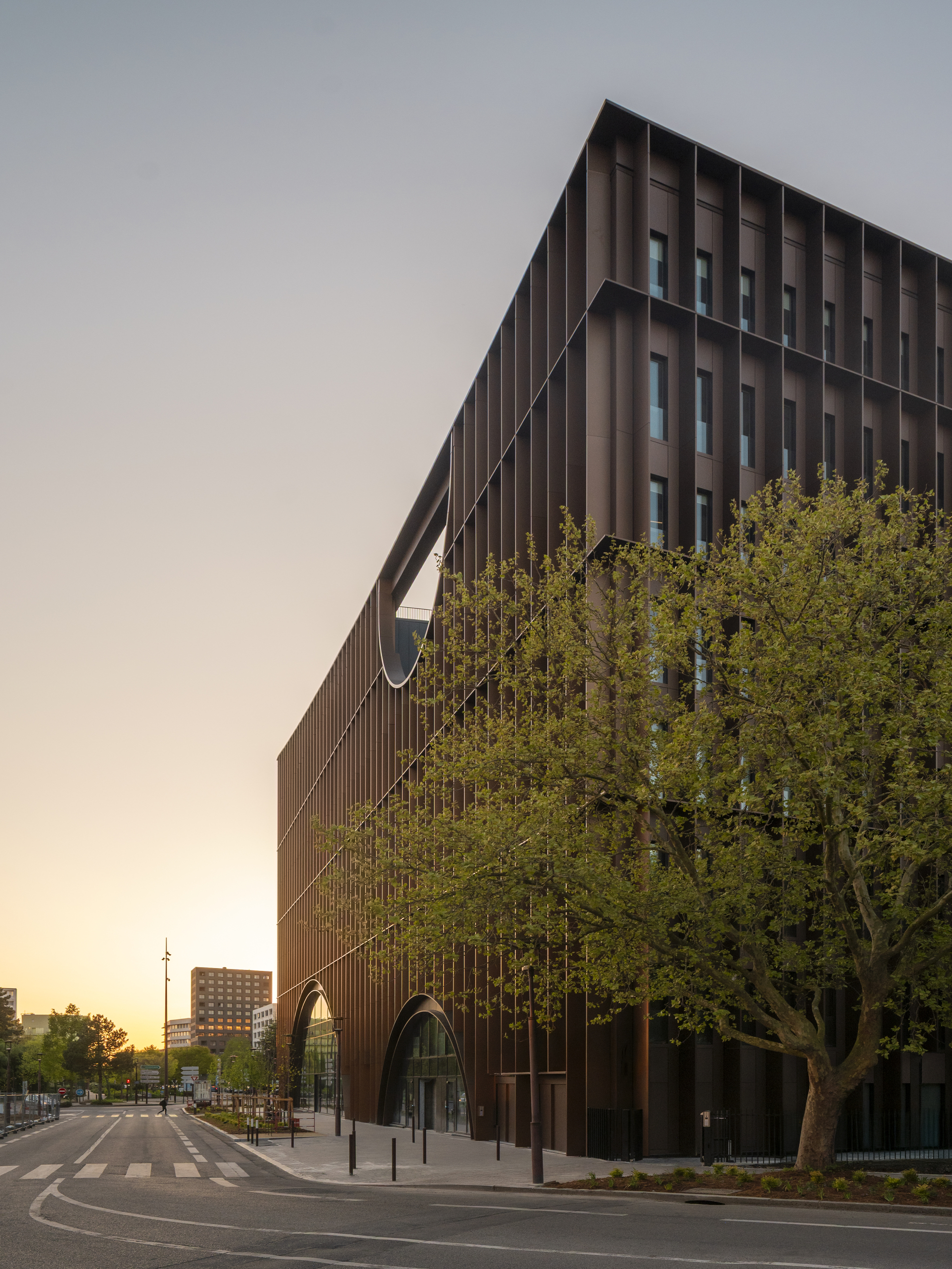 Corner facade with vertical cladding and dark recessed windows at dusk beside a mature tree